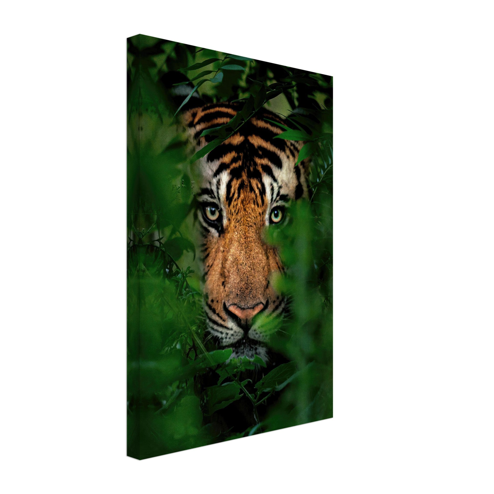 Majestic tiger peering through lush green foliage on canvas artwork, perfect for bold decor.