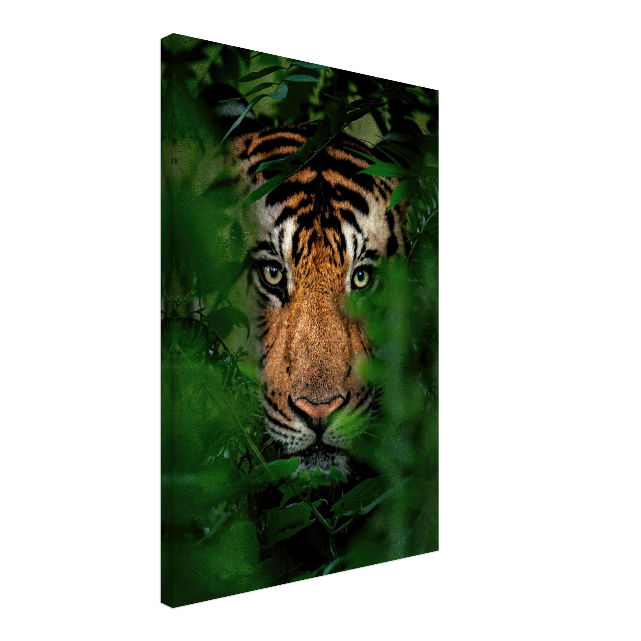 Tiger peering through lush green foliage on canvas art, showcasing strength and elegance in wild nature.