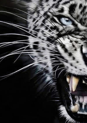 Leopard Close-Up Portrait