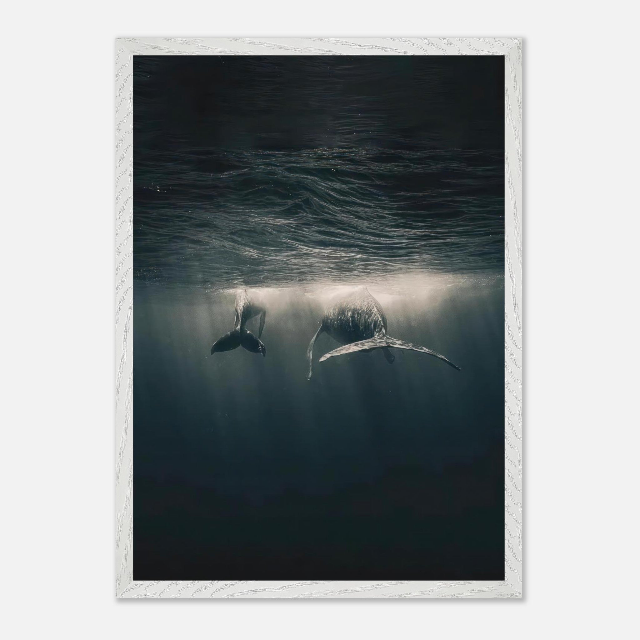 Vintage framed print of whales gliding underwater, capturing the tranquil beauty of ocean life.
