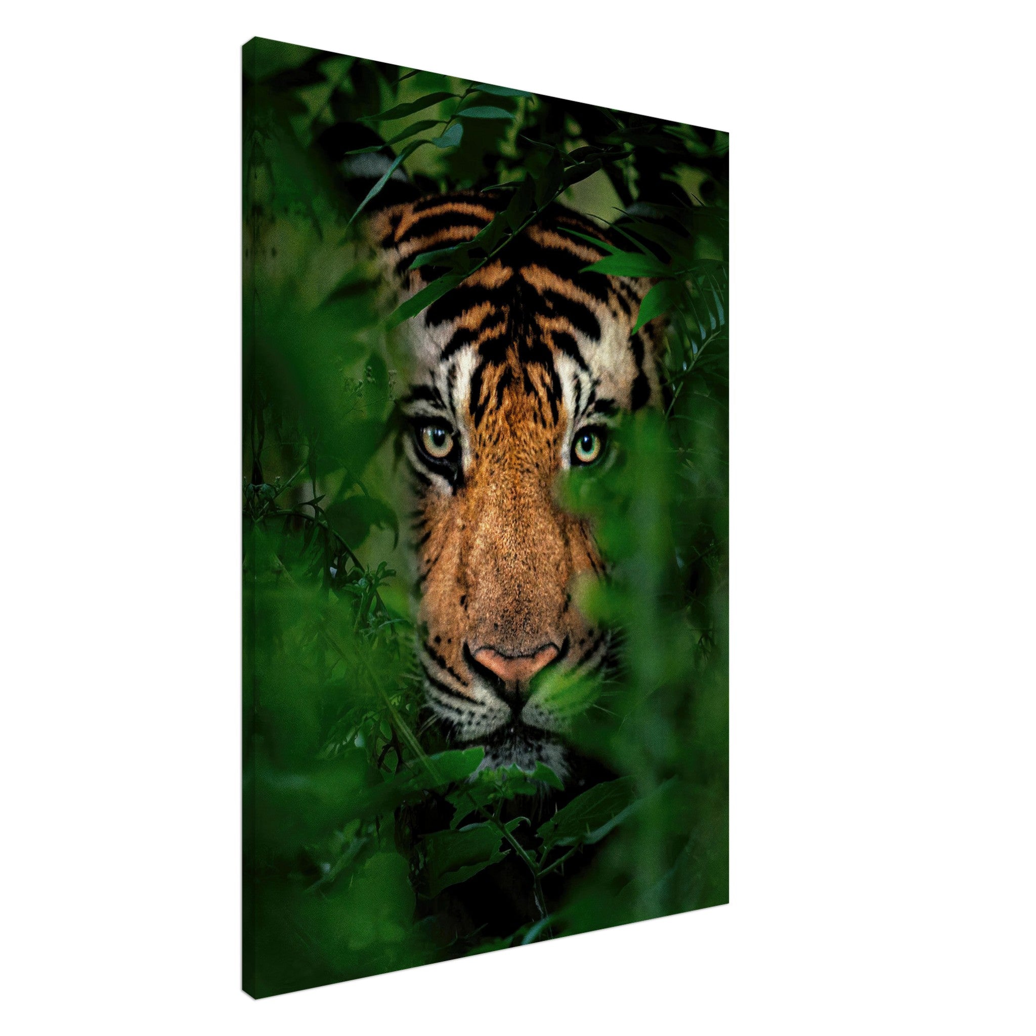 Majestic tiger peering through lush foliage on canvas, symbolizing strength and elegance in wild nature.