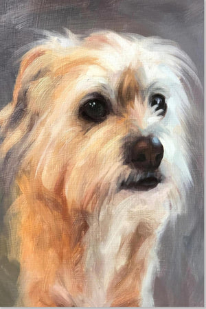 Terrier hund maleri