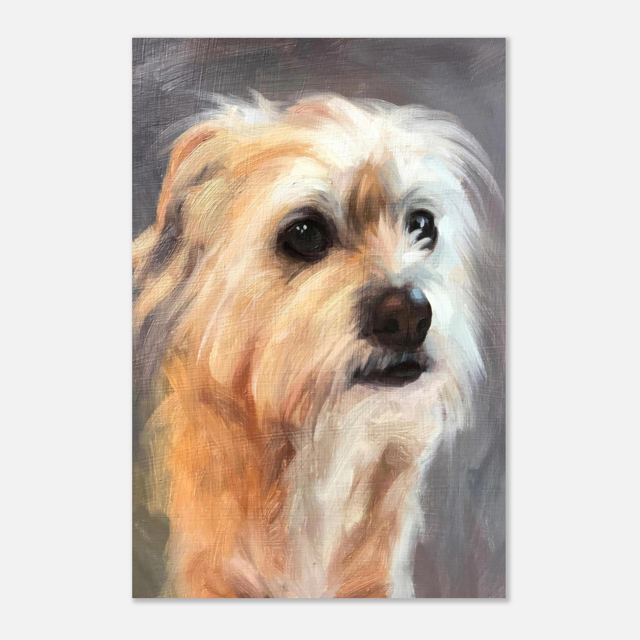 Detailed painting of a terrier dog with expressive eyes and soft fur on a metal print.