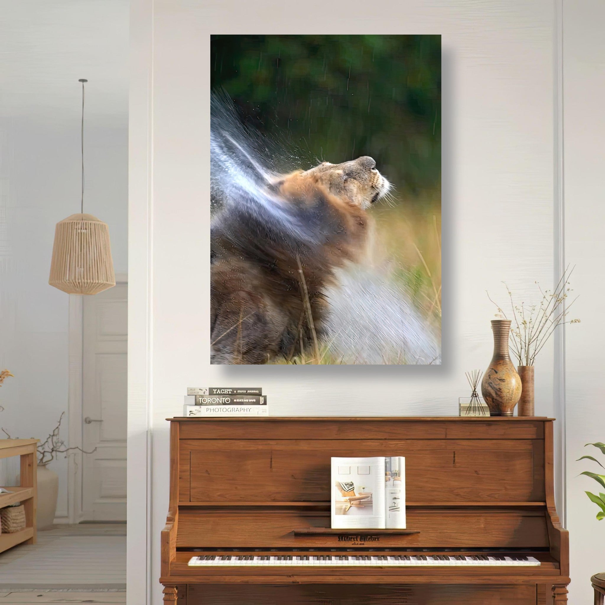 Lion shaking off water droplets in a vibrant metal print artwork, showcasing wild strength and elegance.