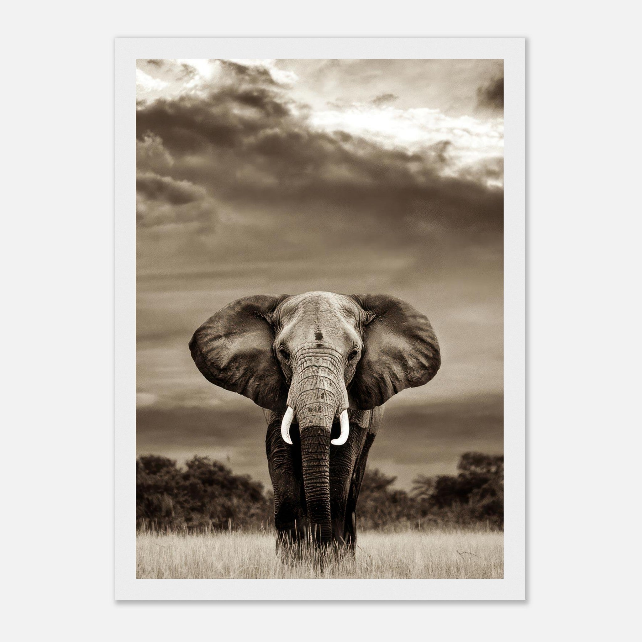 Black-and-white elephant portrait photography framed print capturing strength and elegance in nature.