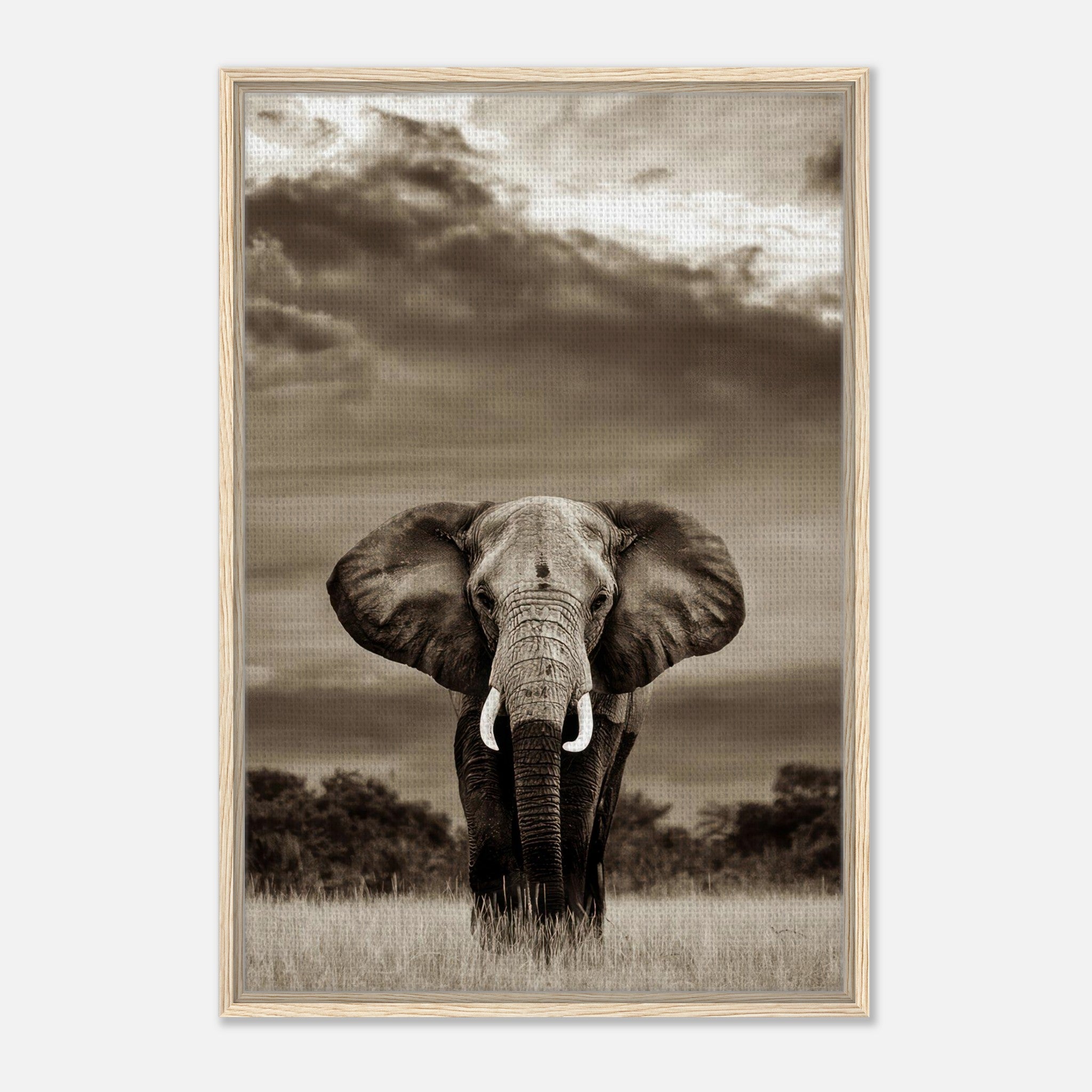 Framed canvas print of a majestic elephant in monochrome, capturing its strength and beauty in a serene landscape.