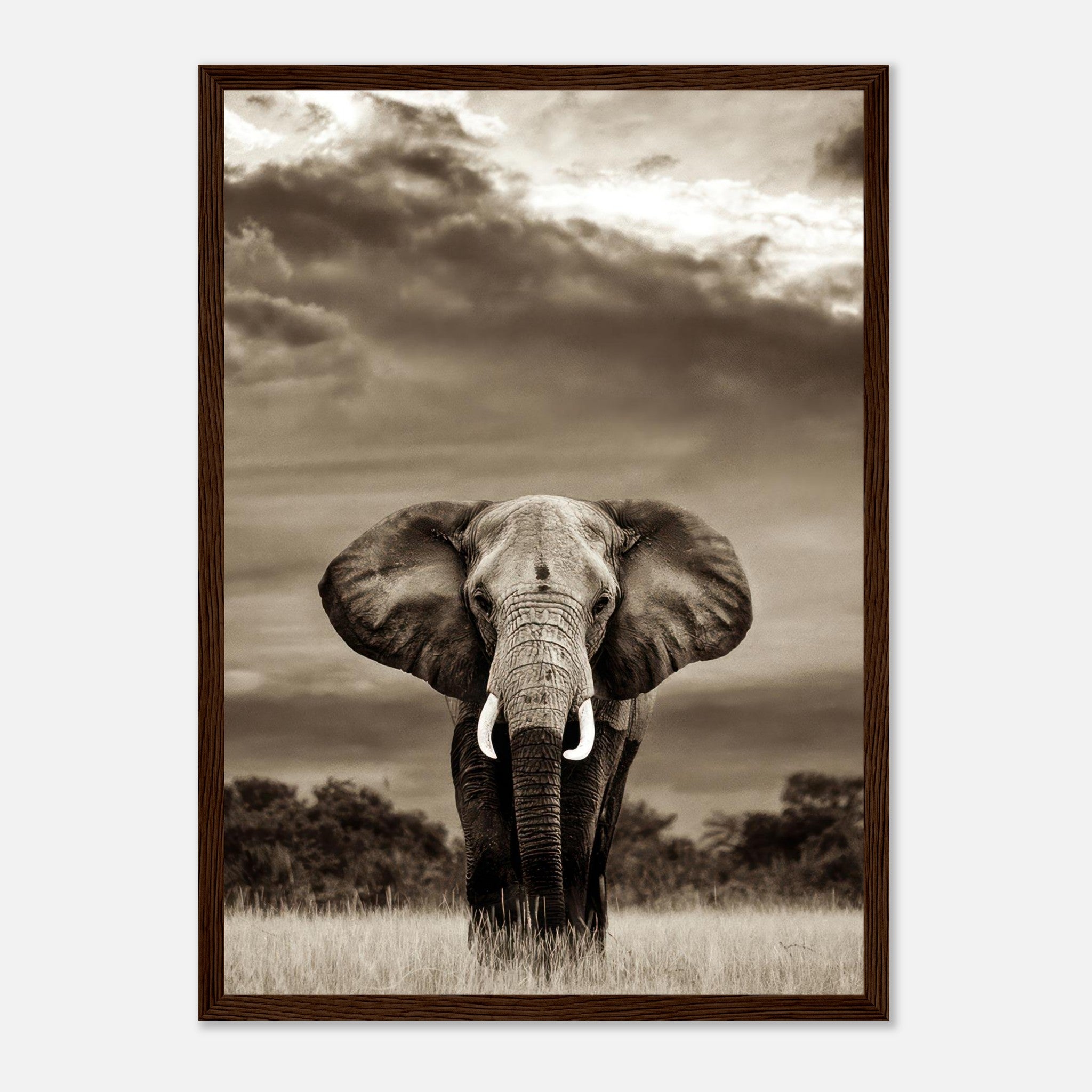 Stunning black-and-white framed print of an elephant in a dramatic landscape, showcasing its strength and elegance.