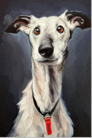 Greyhound hundemaleri