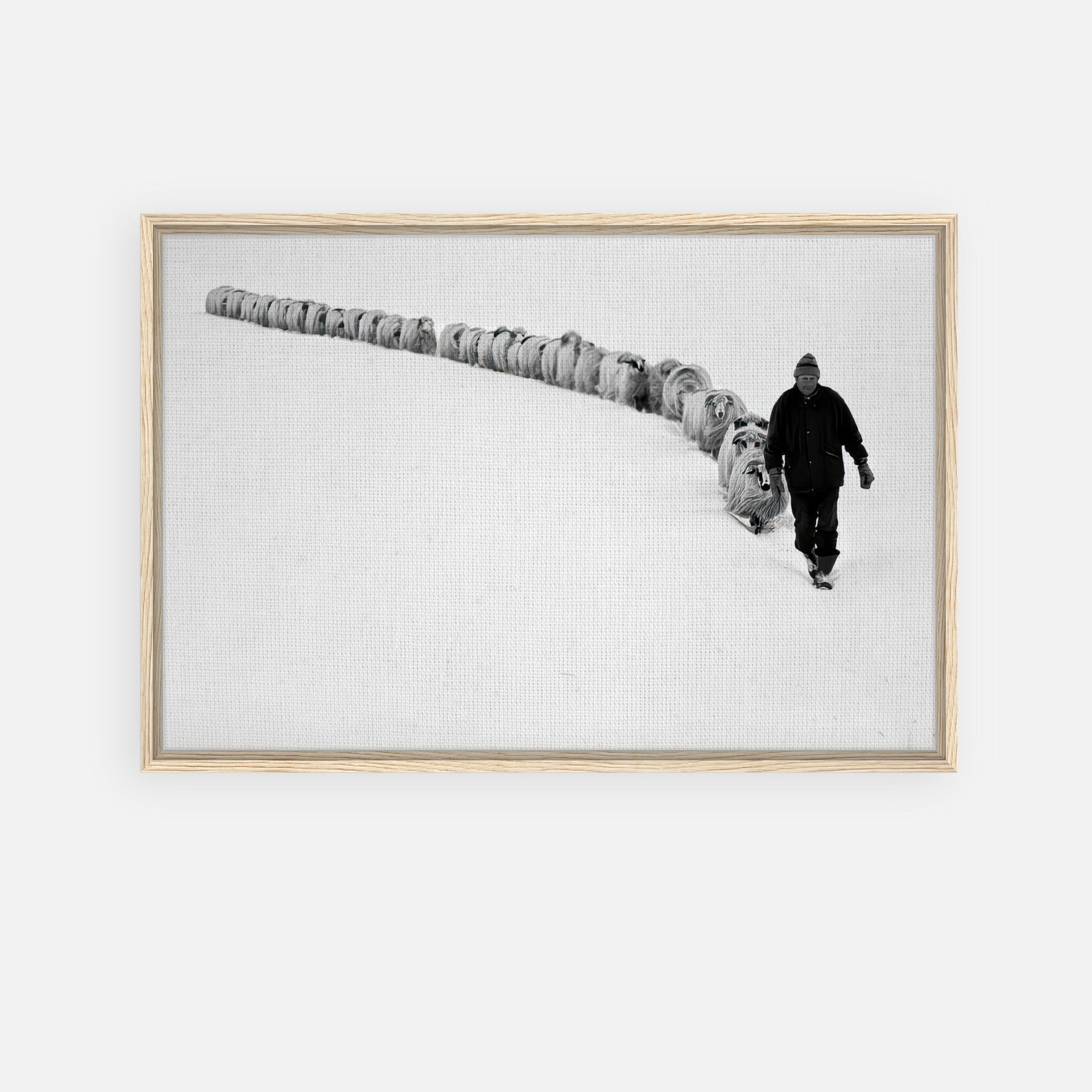 A lone shepherd leading a flock through a vast snow-covered landscape in this framed canvas print.