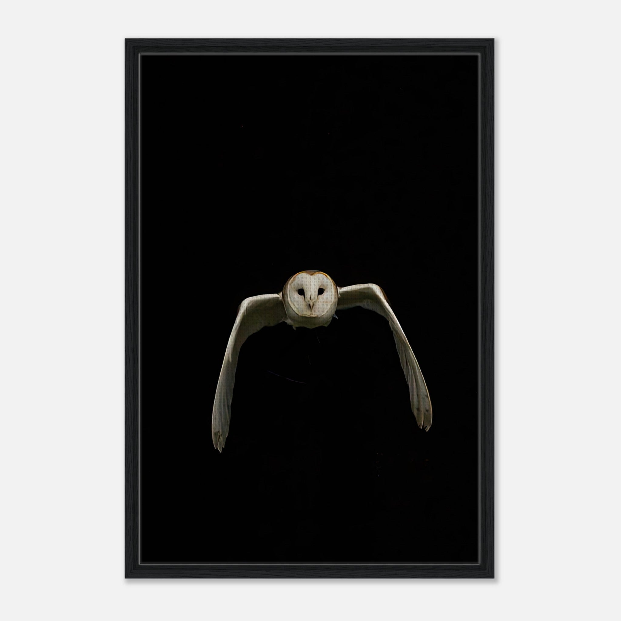 Owl Framed Canvas showcasing a majestic owl in mid-flight against a black backdrop, adding elegance to any space.