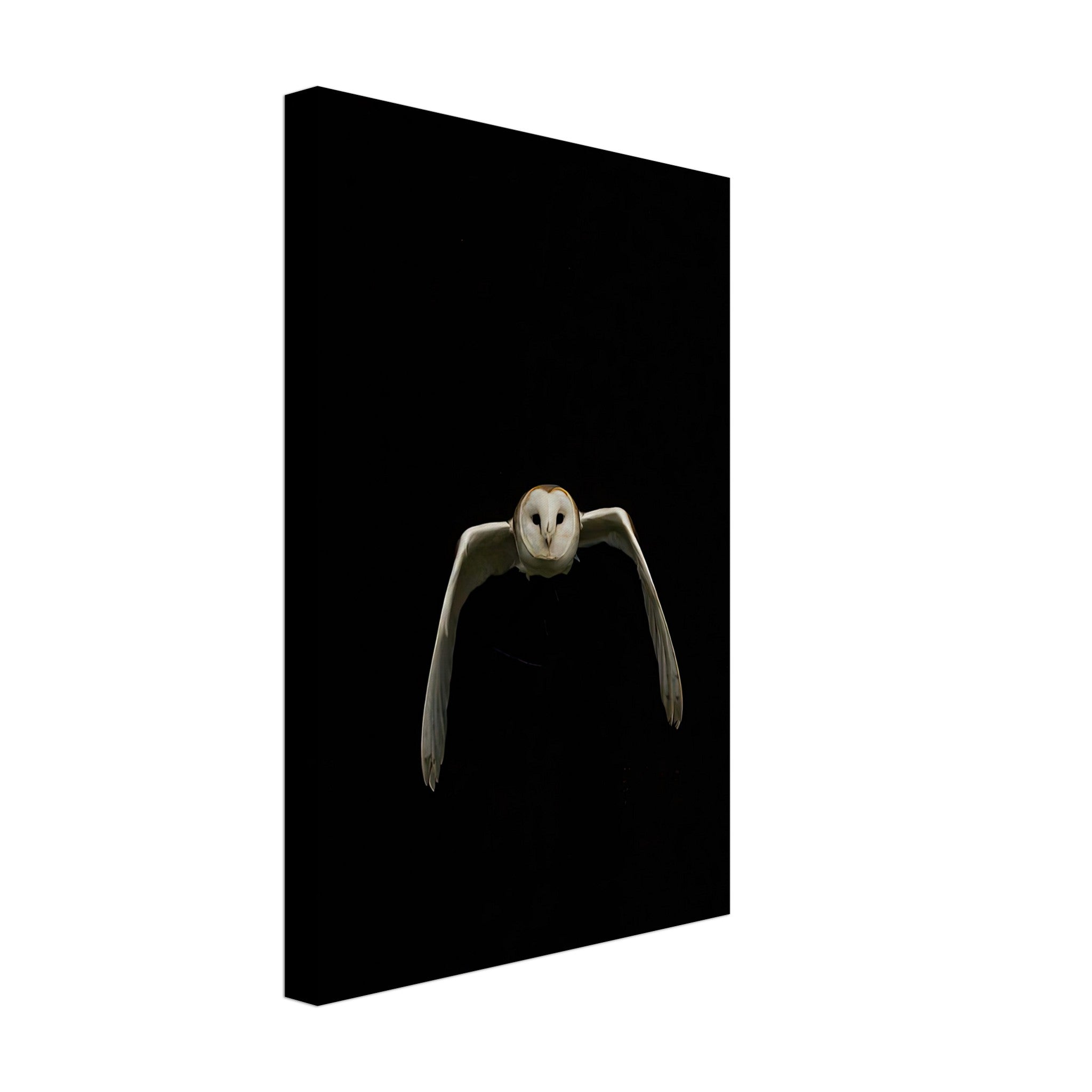 Owl Canvas artwork featuring a serene owl in flight against a deep black background.