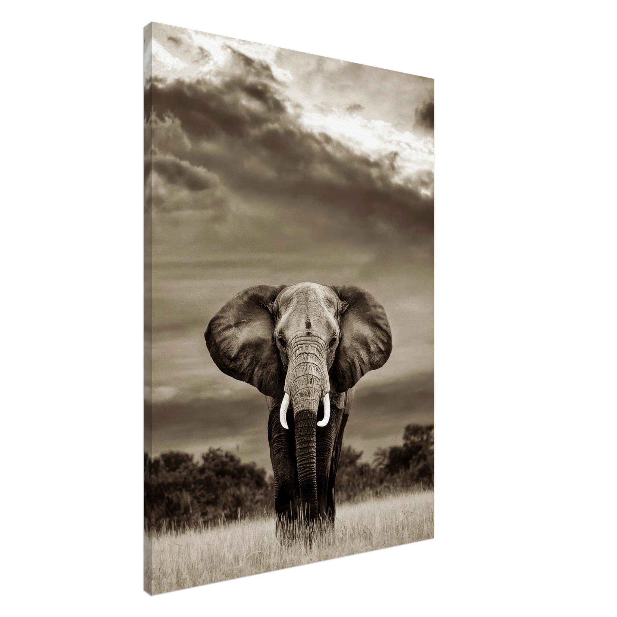 Majestic elephant portrait captured in black and white canvas print showcasing intricate details and dramatic sky.