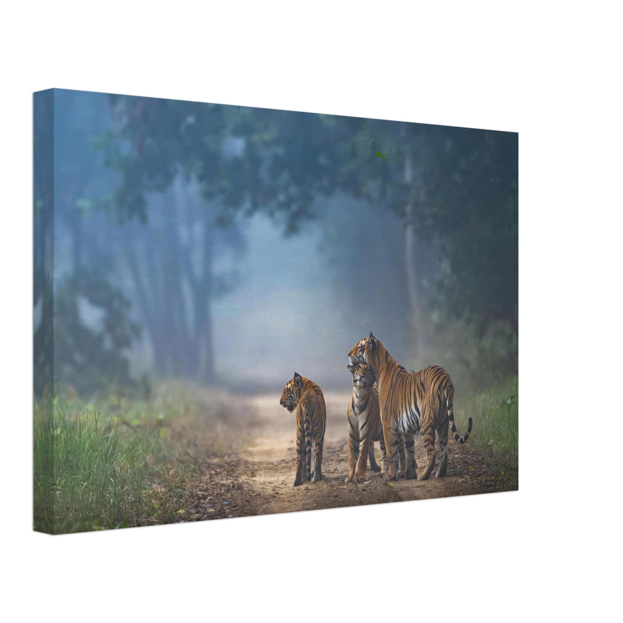The Bond of Tigers canvas art featuring a tiger family in a misty forest, showcasing strength and unity in nature.