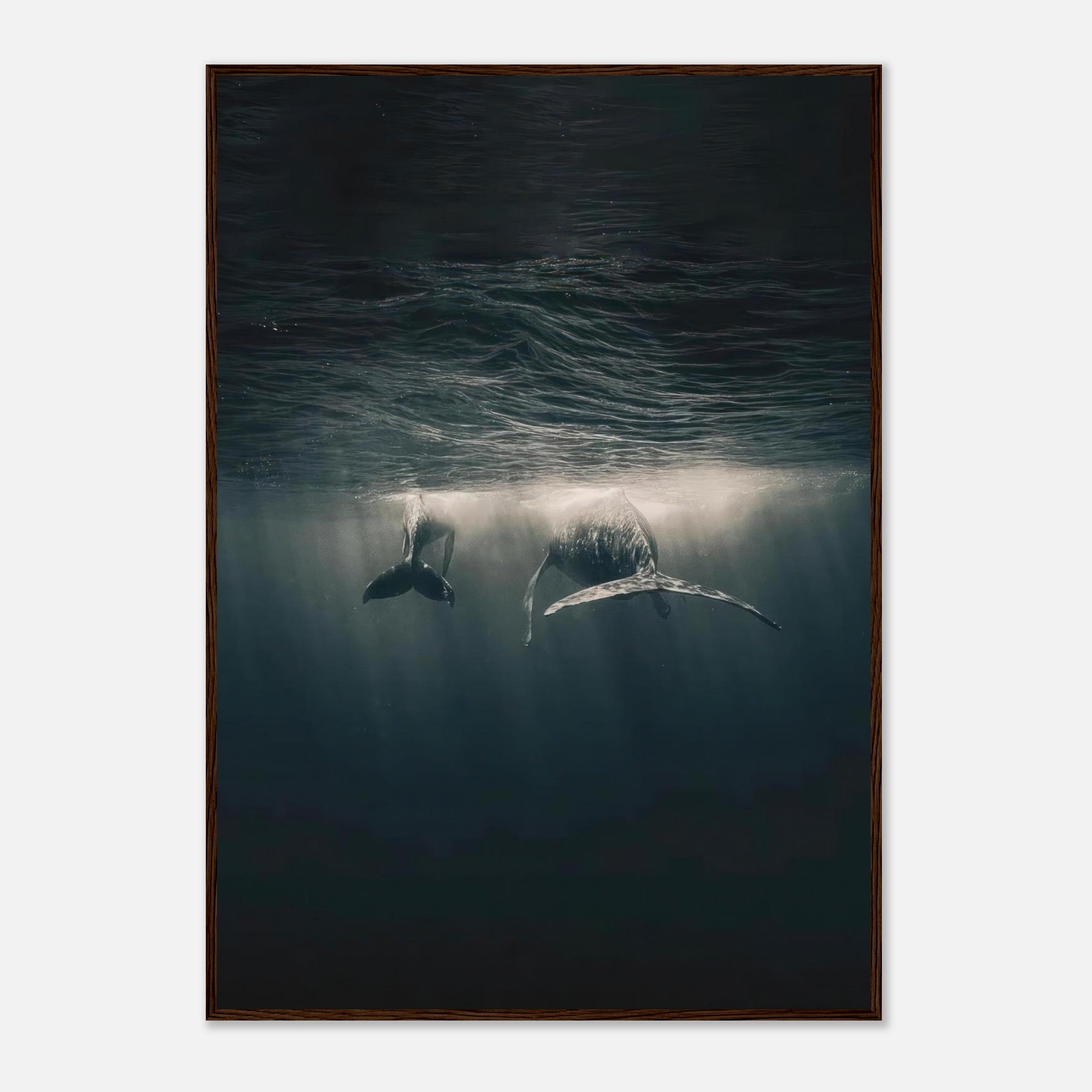 Whales swimming underwater in stunning framed print, capturing the beauty of marine life and sunlight filtering through water.