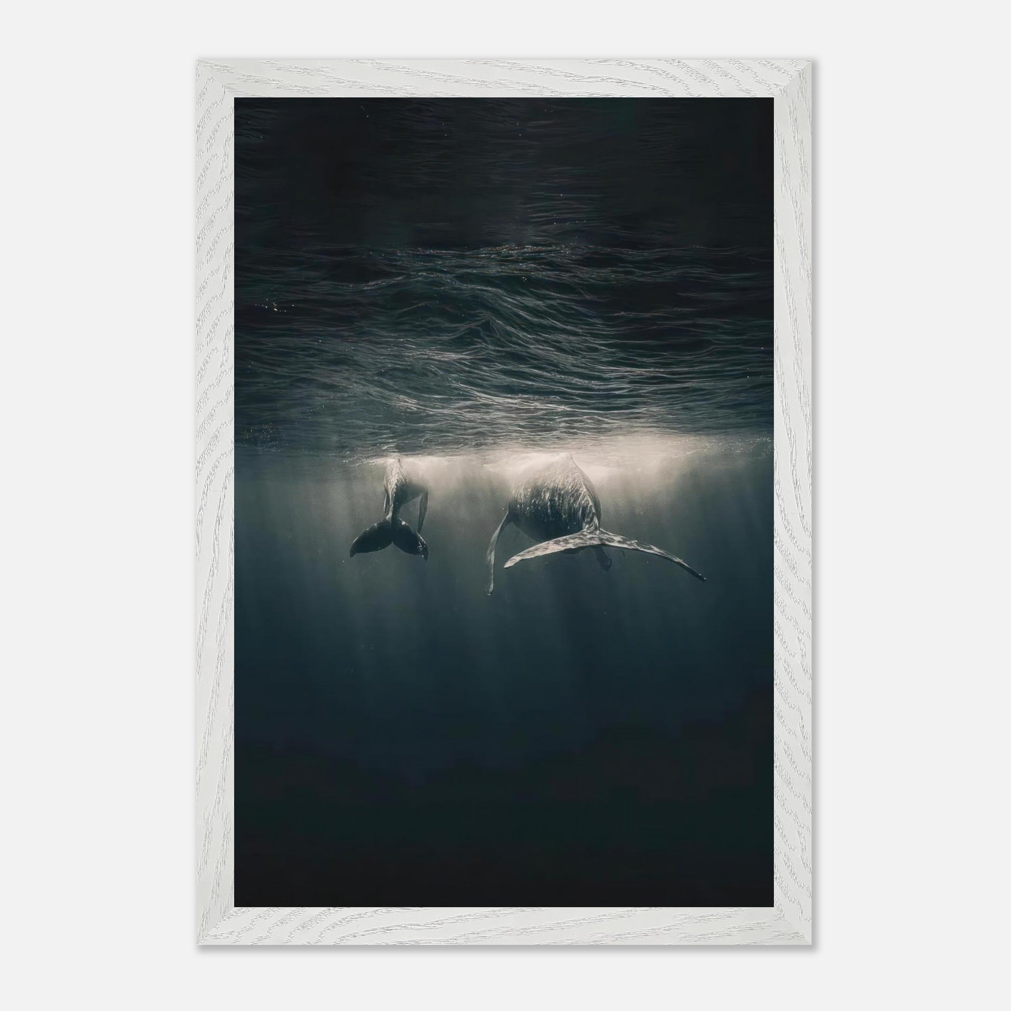 Fine art print of two majestic whales gliding underwater, showcasing the serene beauty of the deep ocean.