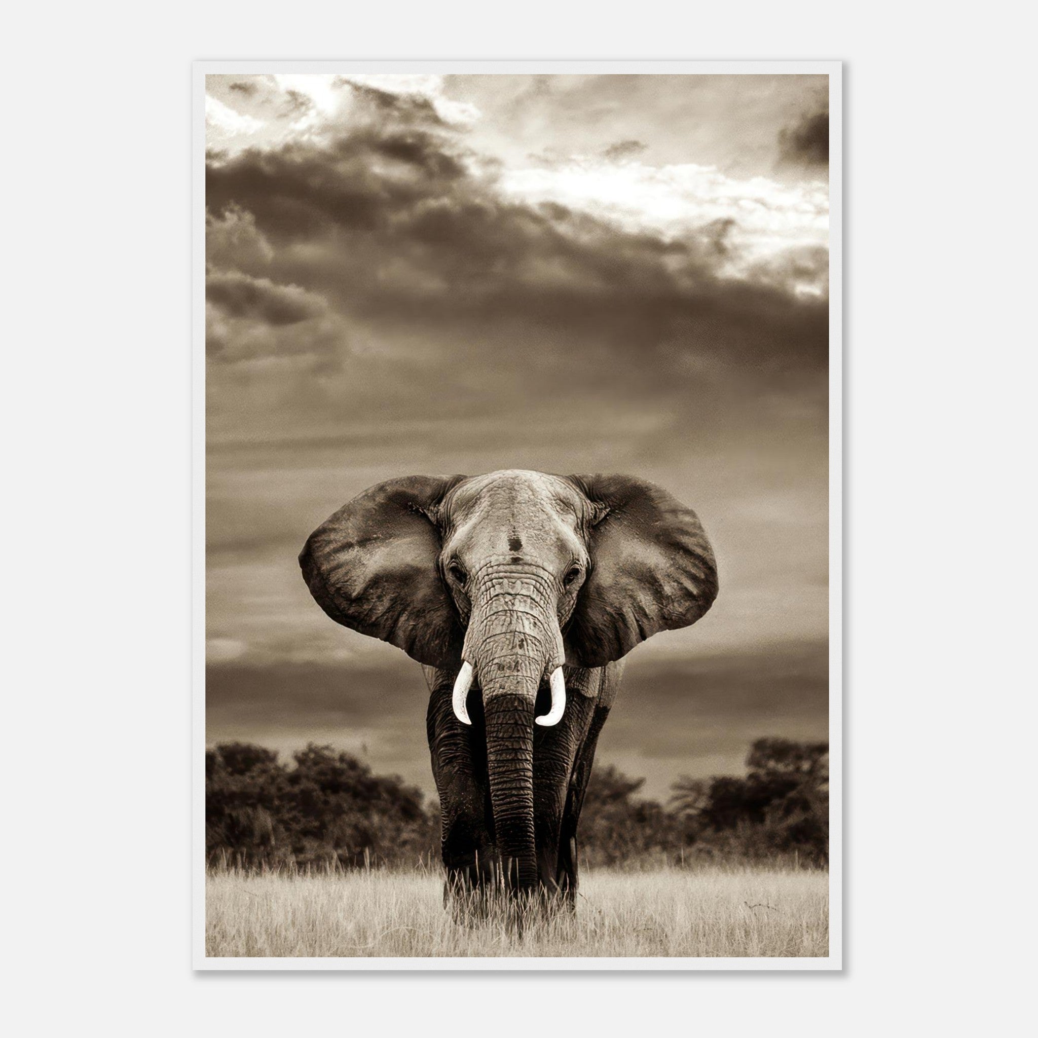 Stunning black-and-white elephant portrait framed print, showcasing the majesty against a dramatic sky.
