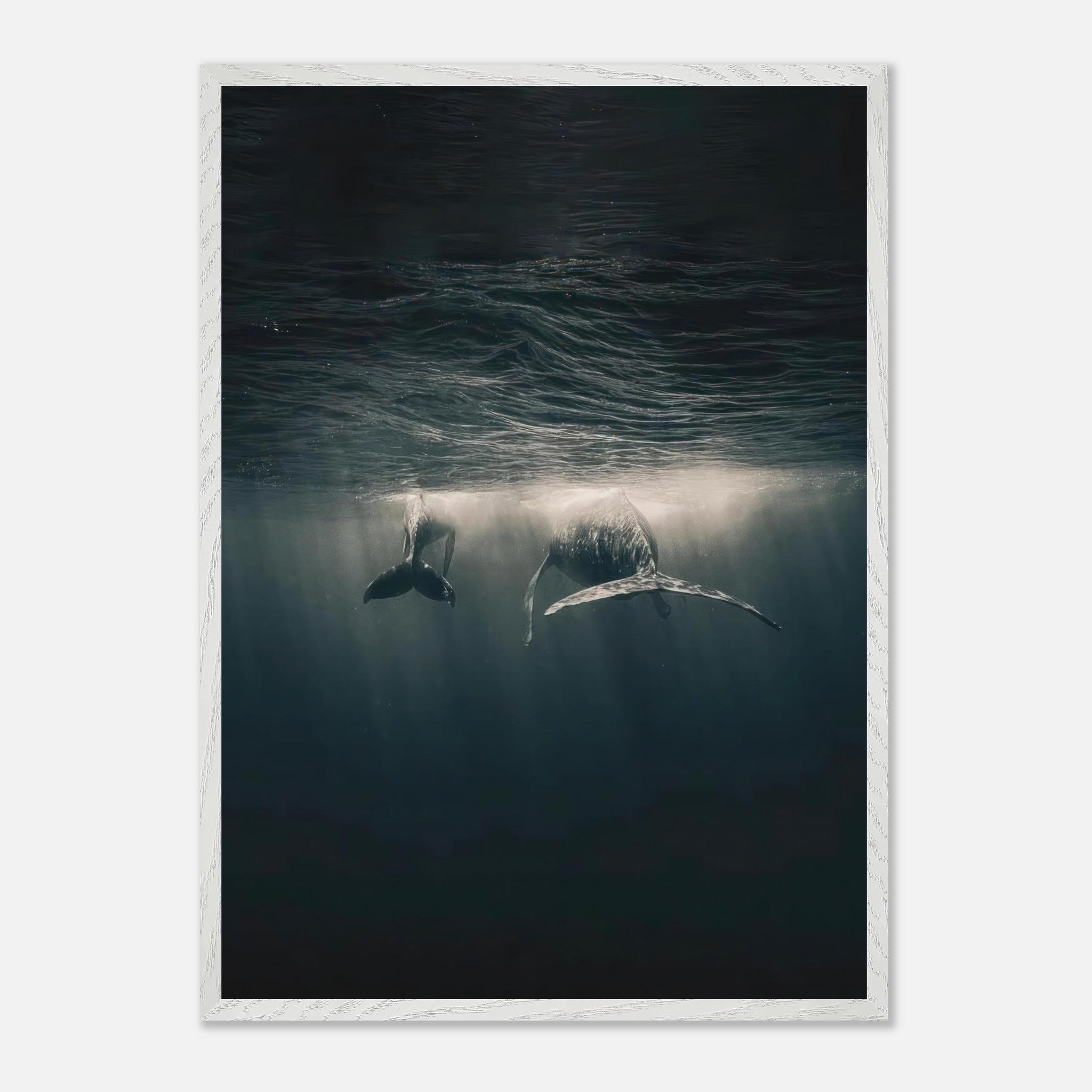 Two majestic whales gliding underwater, captured in fine art print, depicting tranquility and beauty in the ocean.