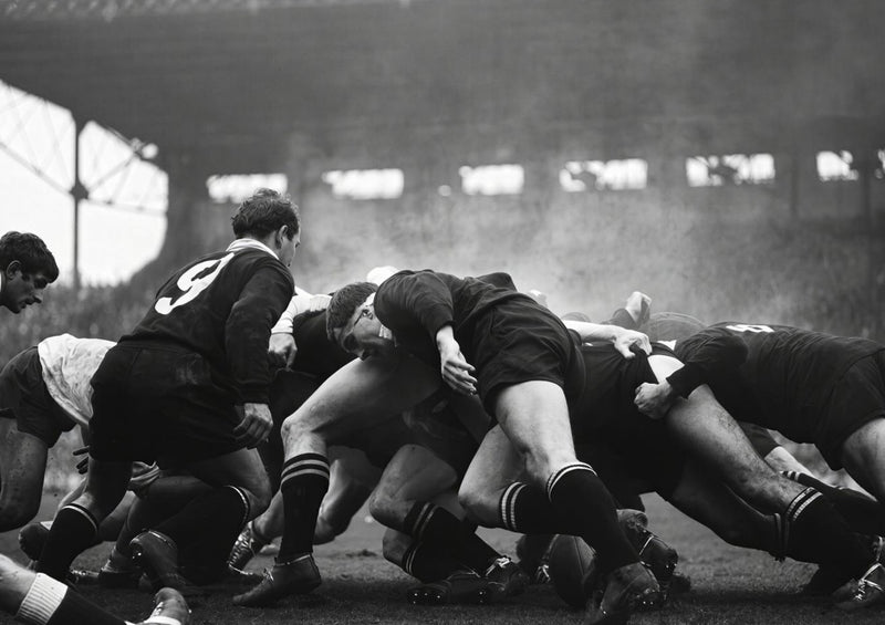France vs New Zealand Rugby 1967
