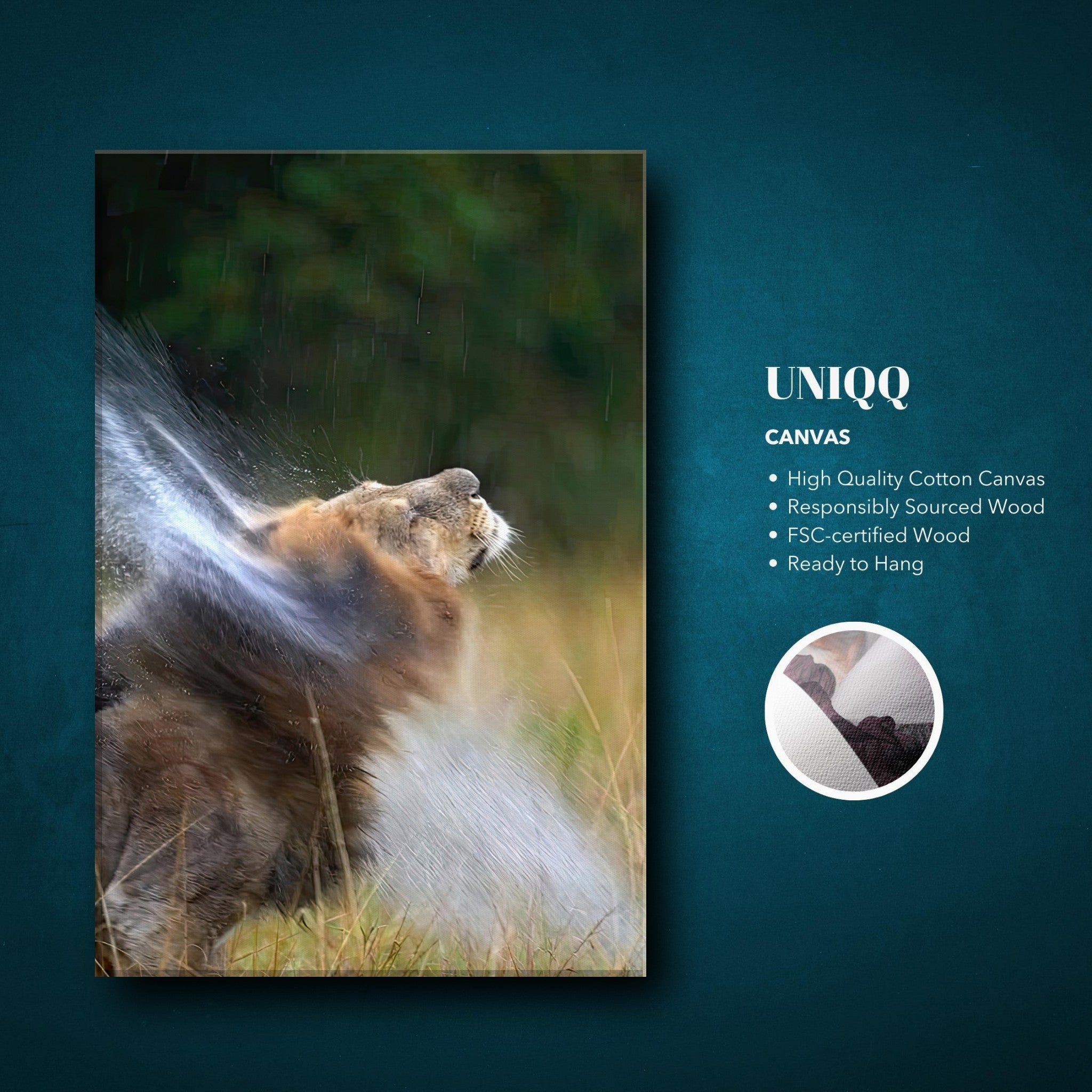 Lion shaking off water on canvas artwork, showcasing vitality and nature's beauty, ready to hang in any room.
