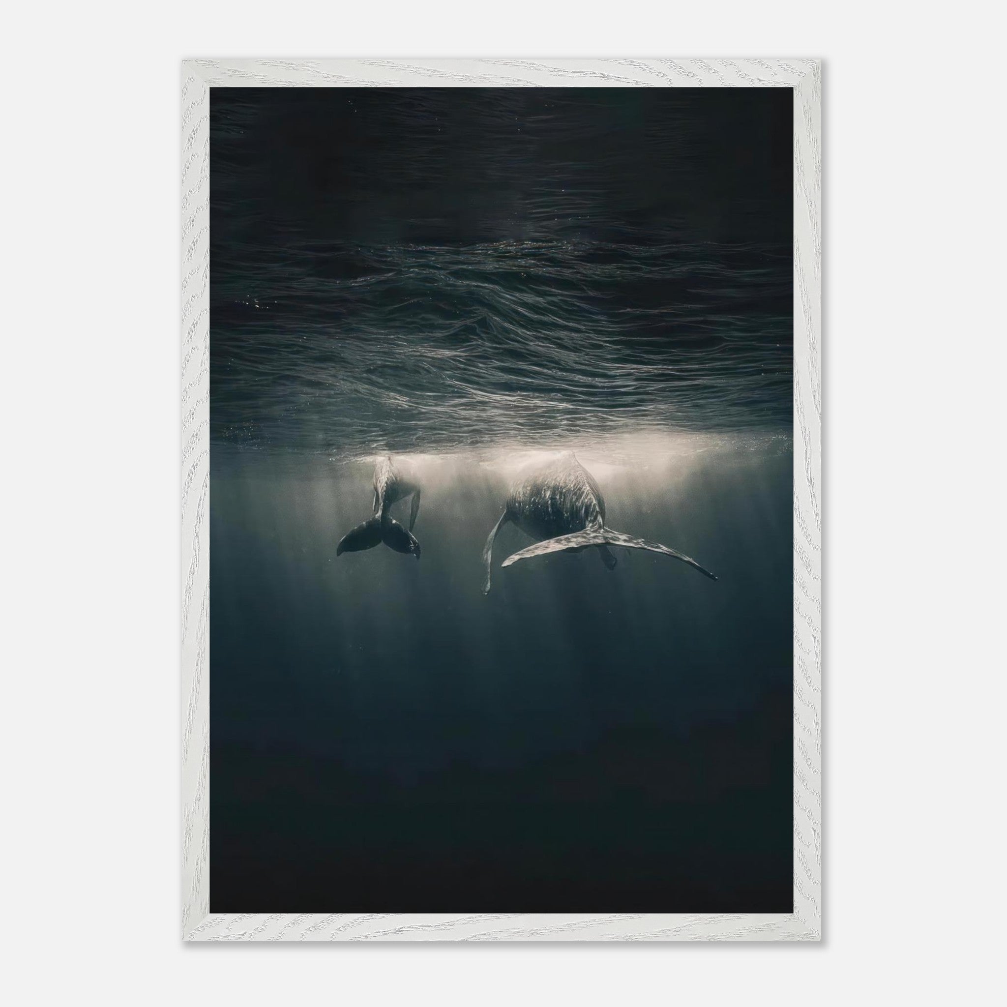 Two majestic whales swimming gracefully underwater in a serene ocean scene, illuminated by soft light.