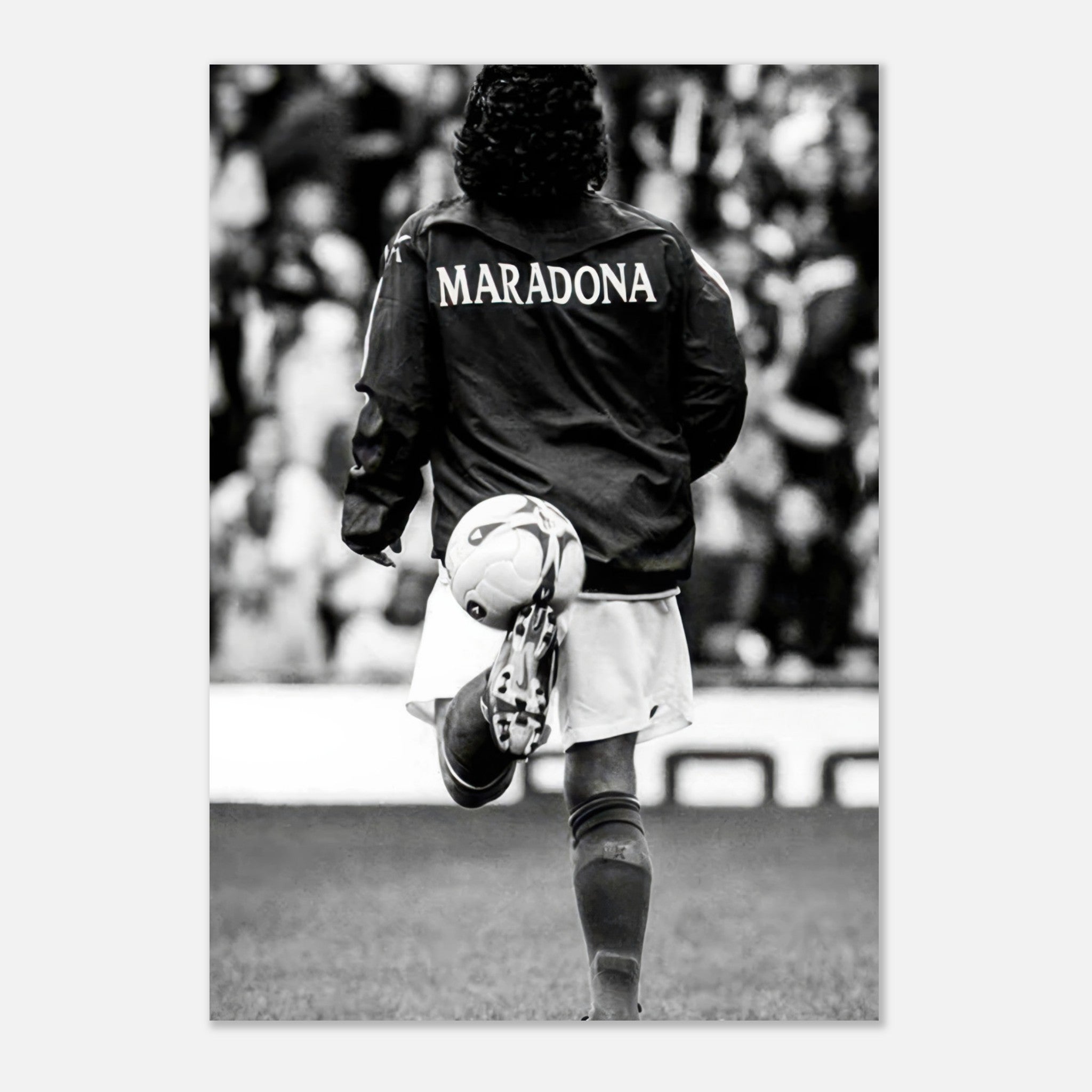 a906320b-a96e-4d76-978c-9b8dbf228058