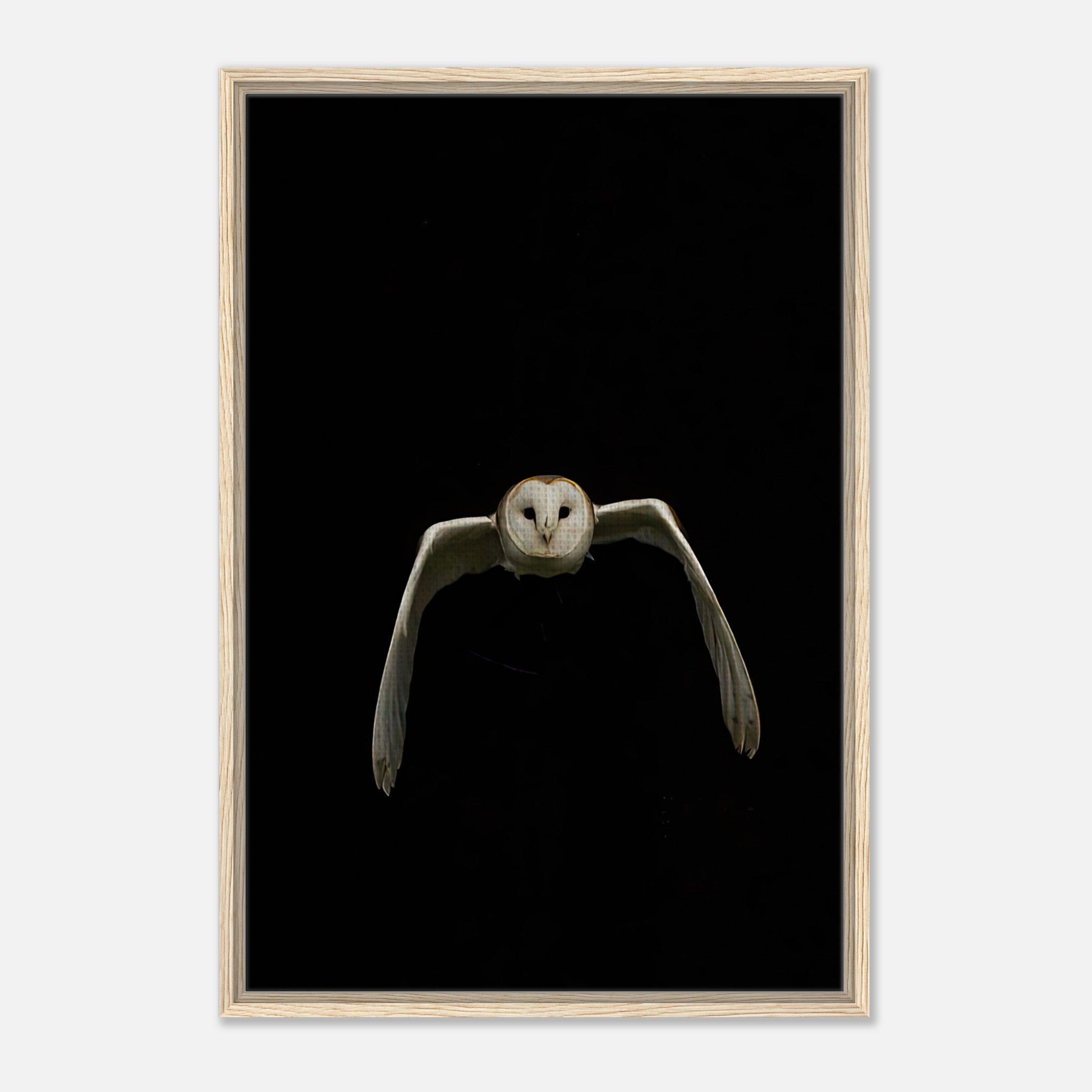Framed canvas artwork of a majestic owl in mid-flight against a black backdrop, showcasing intricate details.