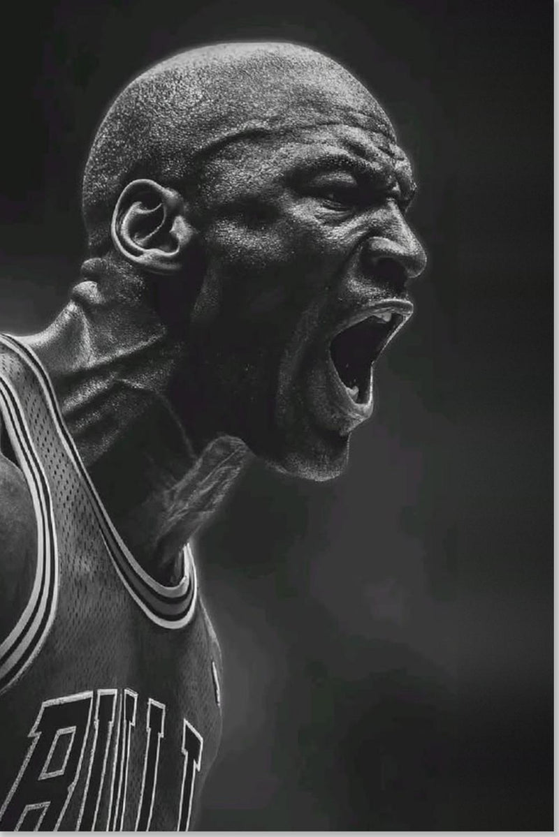 Michael Jordan Chicago Bulls