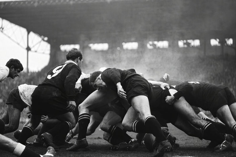 France vs New Zealand Rugby 1967