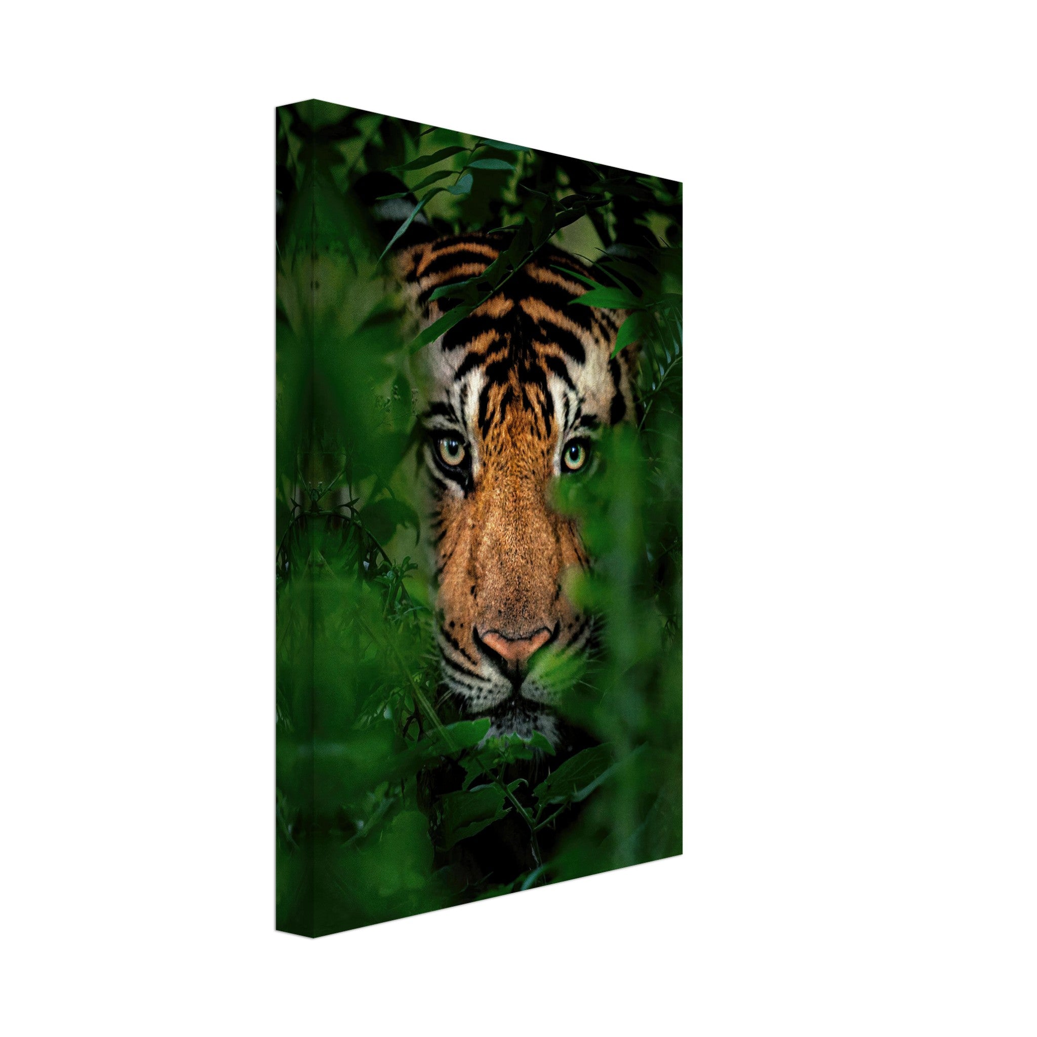 Majestic tiger peering through lush green foliage on canvas, showcasing wild beauty and elegance.