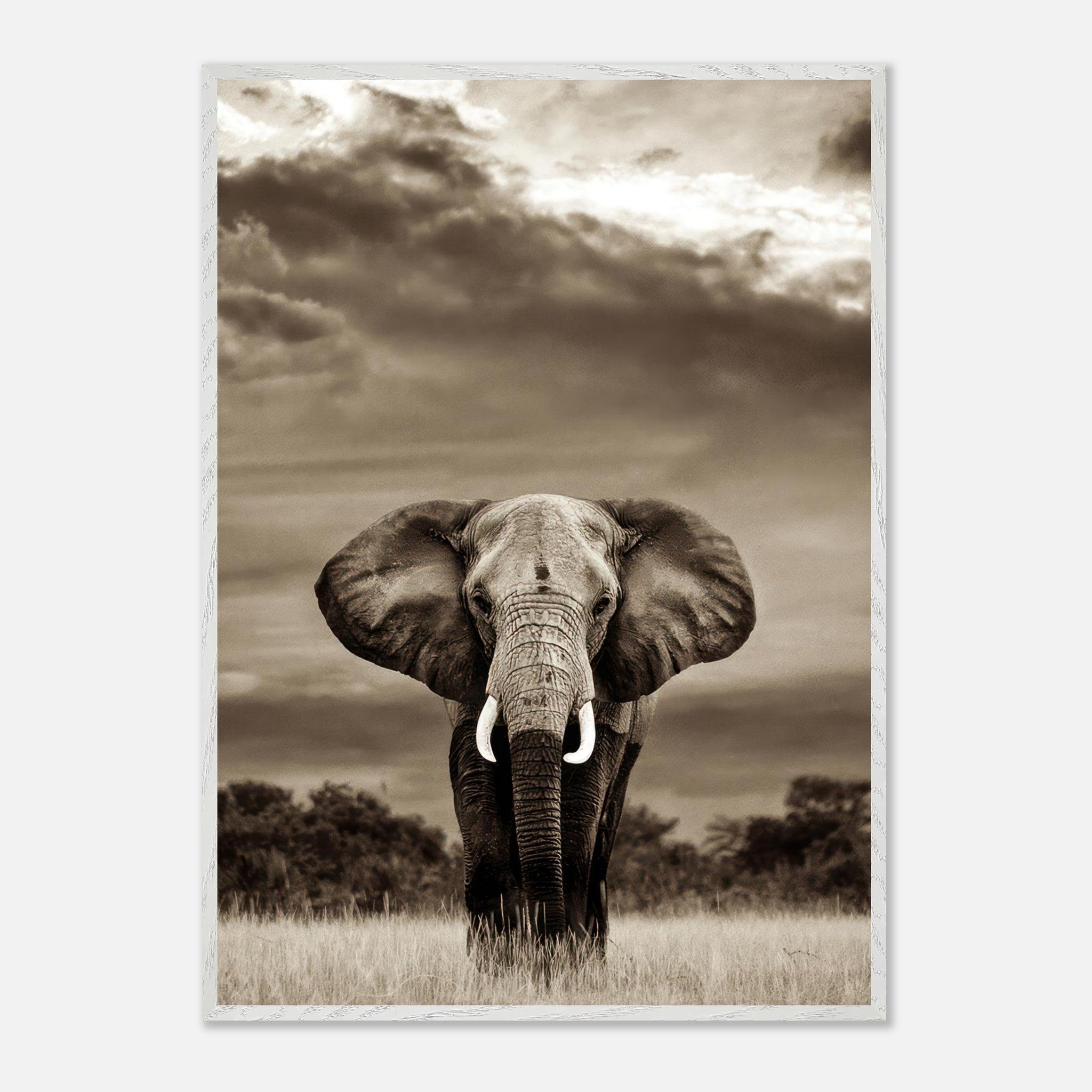 Black-and-white portrait of a majestic elephant in its natural habitat, showcasing strength and elegance.