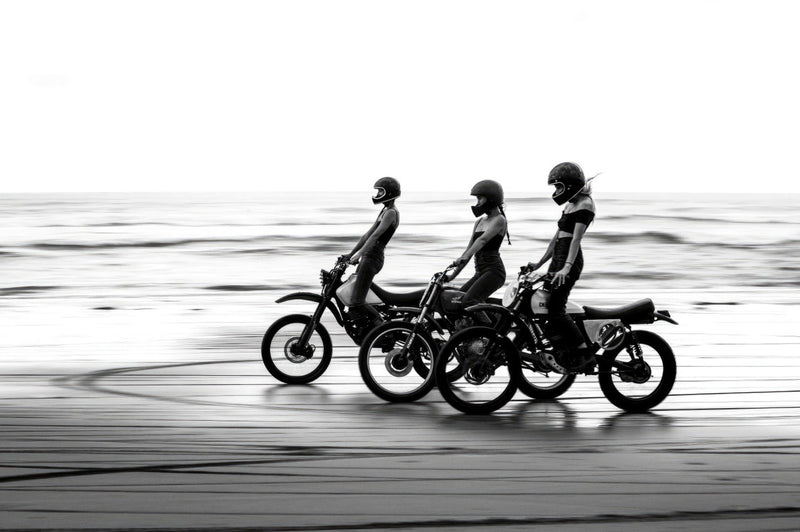 Rebeldes en la costa