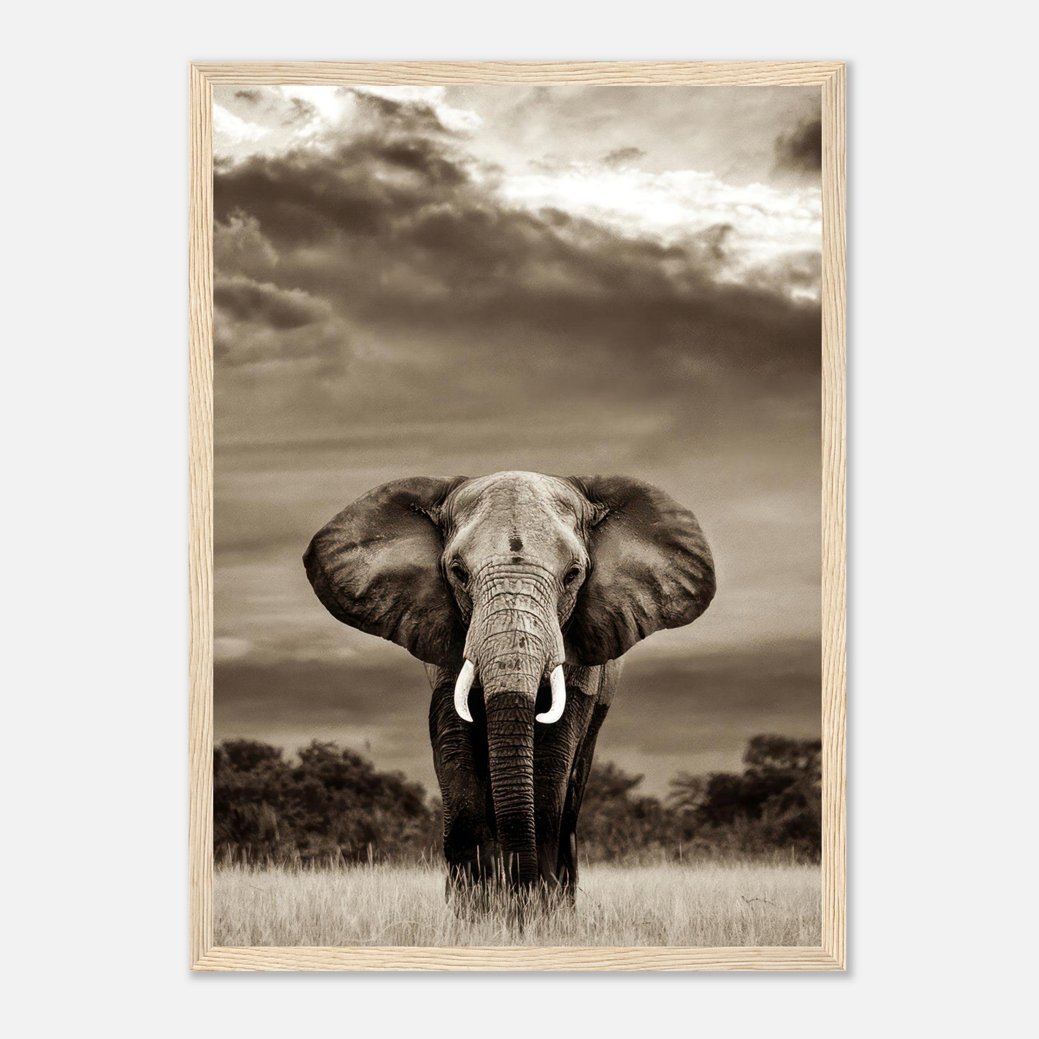 Framed black-and-white portrait of a majestic elephant against a dramatic sky, showcasing elegance and strength.