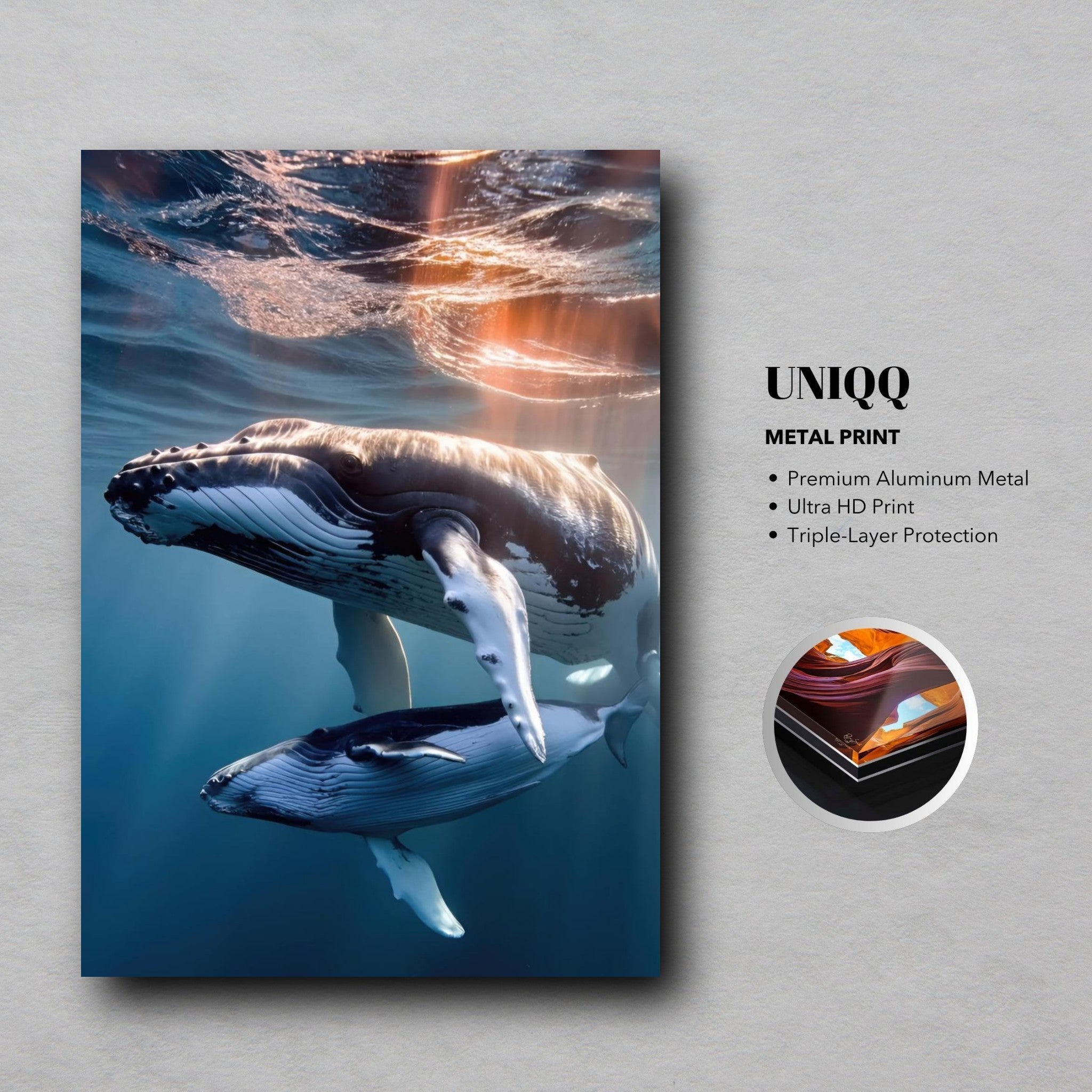 Underwater photo of humpback whale and calf on metal print, showcasing marine beauty and serenity.