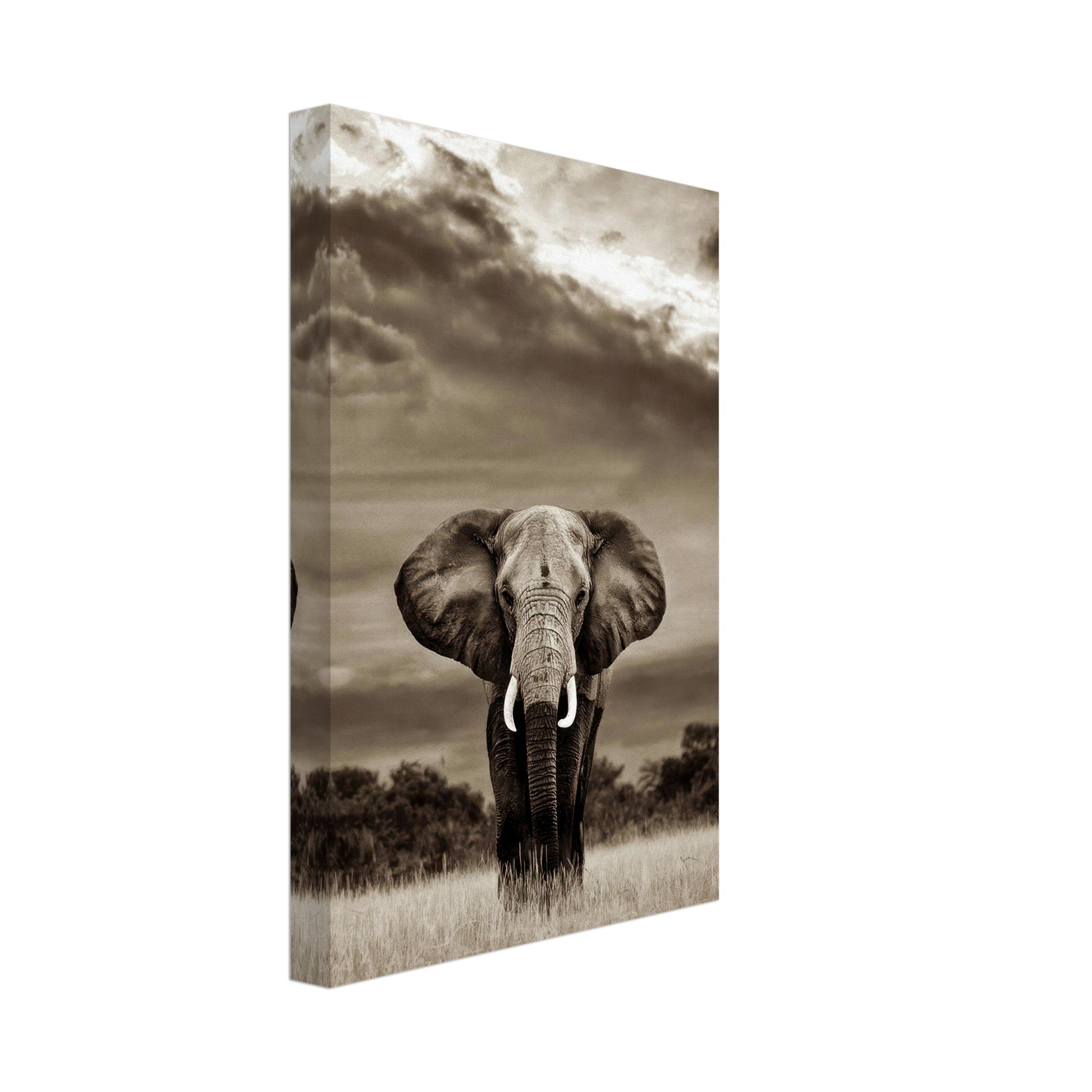 Black-and-white canvas print of an elephant, showcasing its powerful gaze and majestic presence.