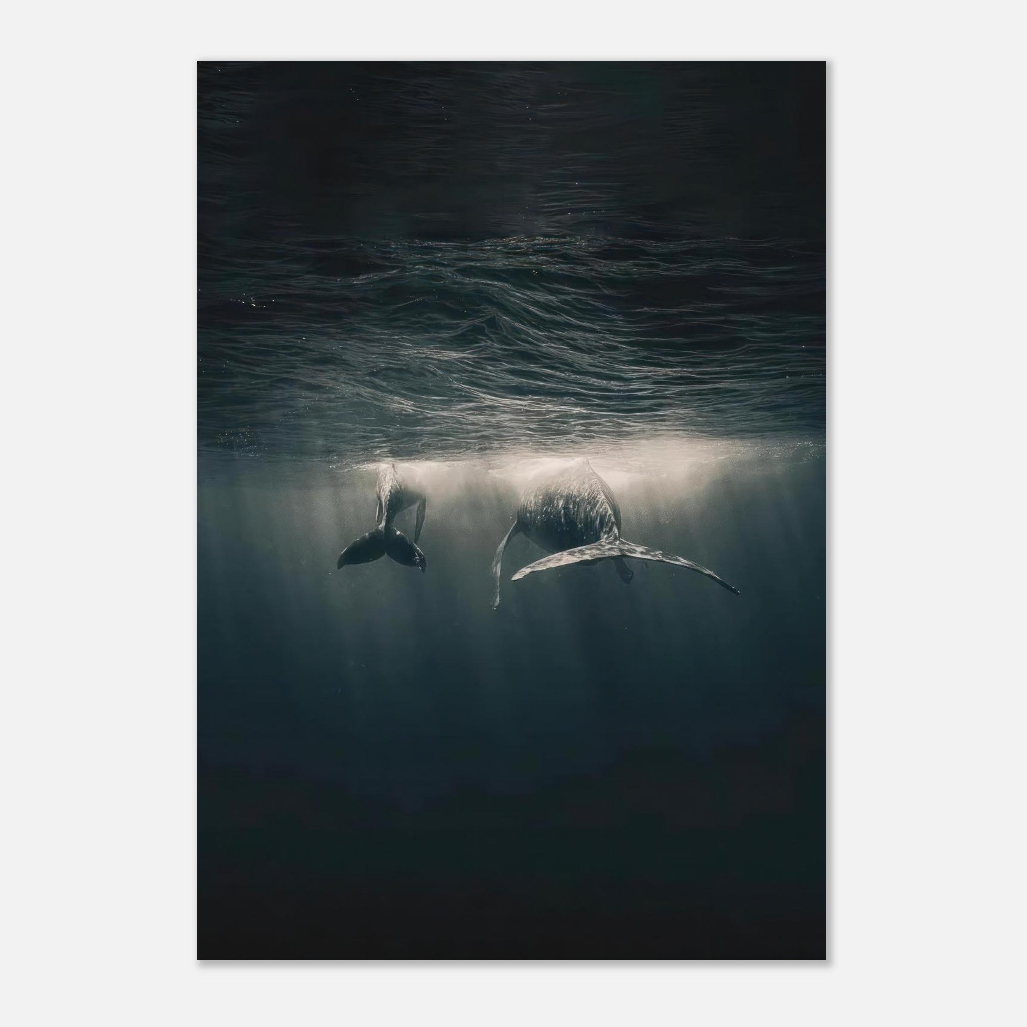 Majestic whales gliding underwater, showcasing tranquility and beauty in ocean depths, perfect for home decor.