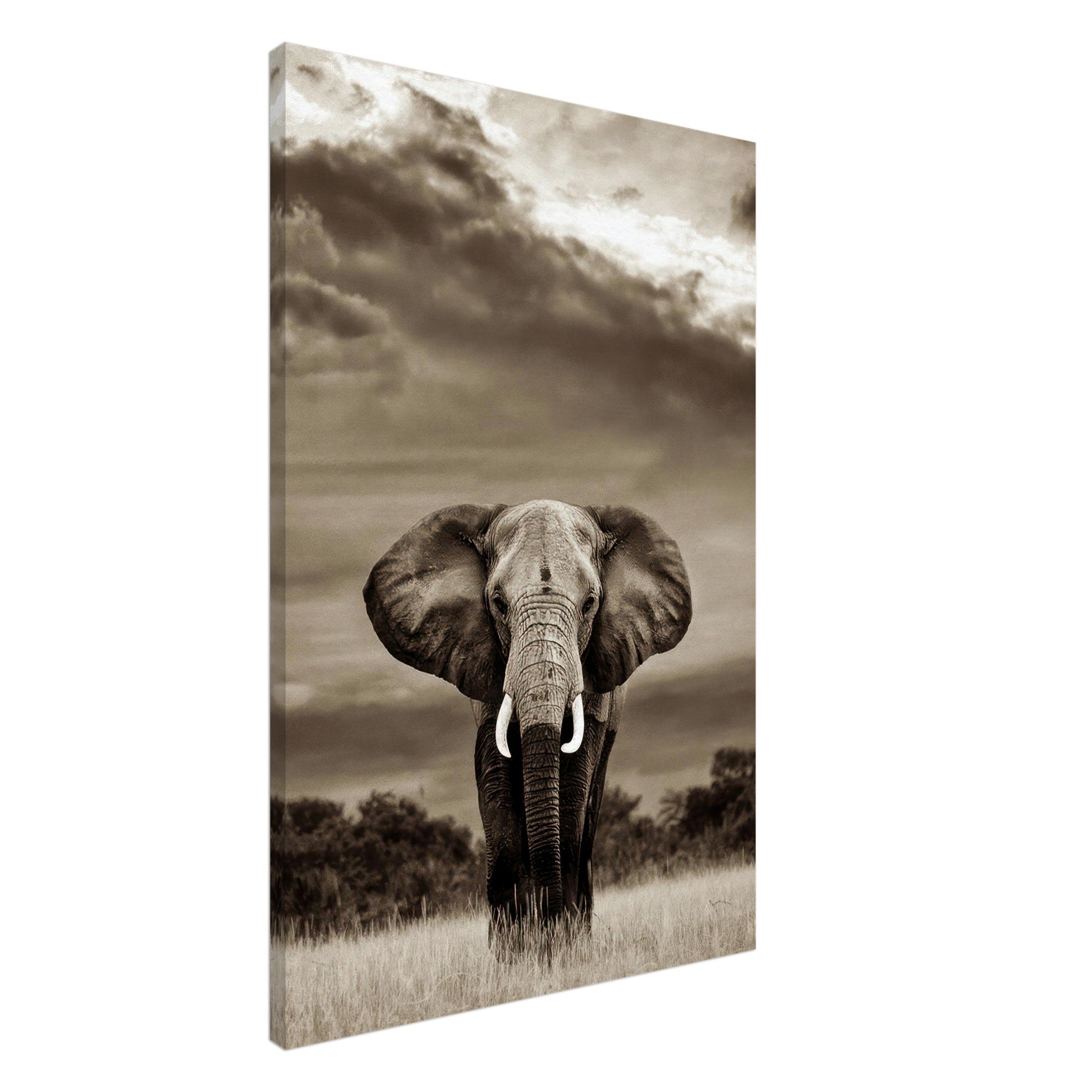 Stunning black-and-white elephant portrait canvas print showcasing the majestic creature in a dramatic landscape.