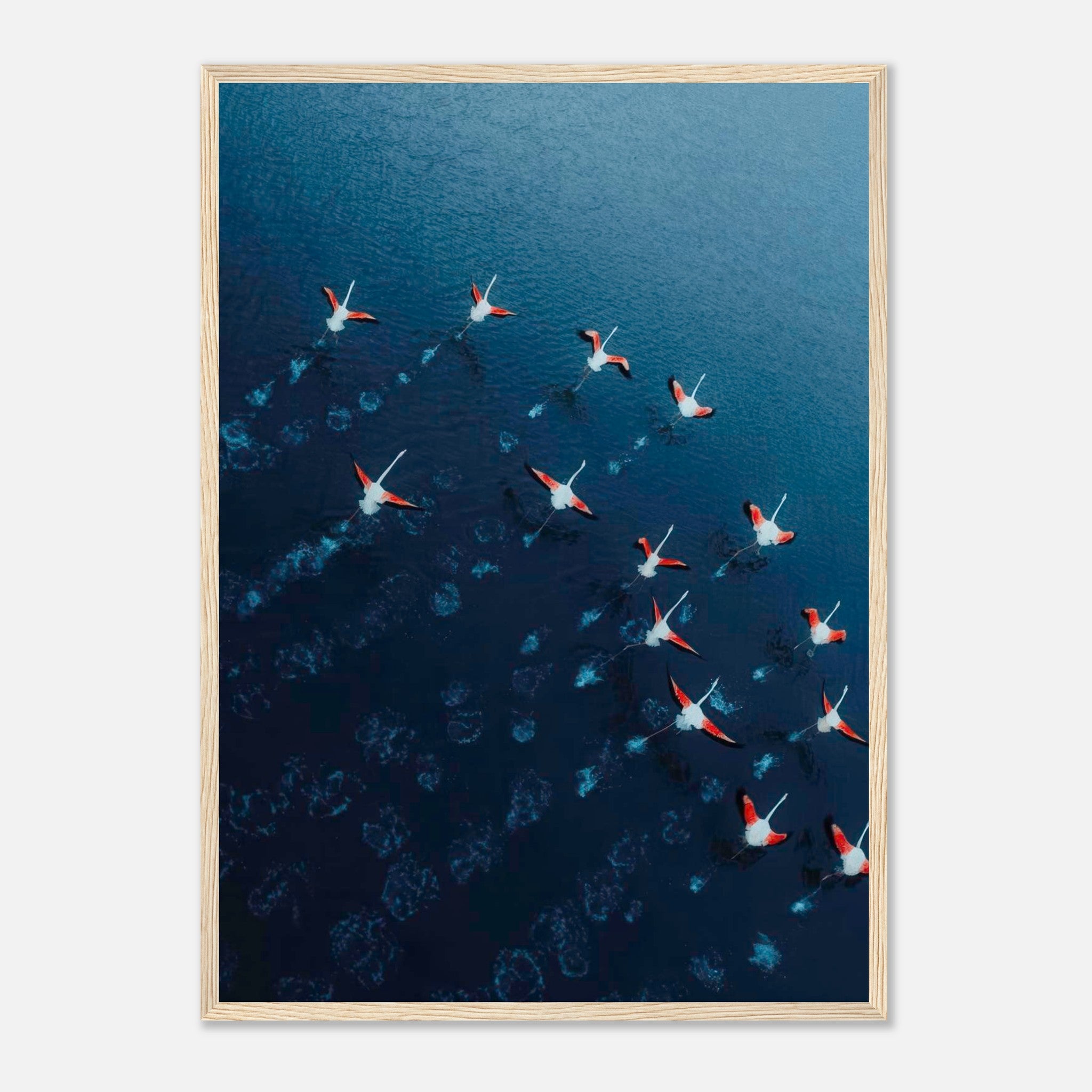 Aerial view of flamingos flying over deep blue waters in a framed print, showcasing vibrant pink and navy tones.