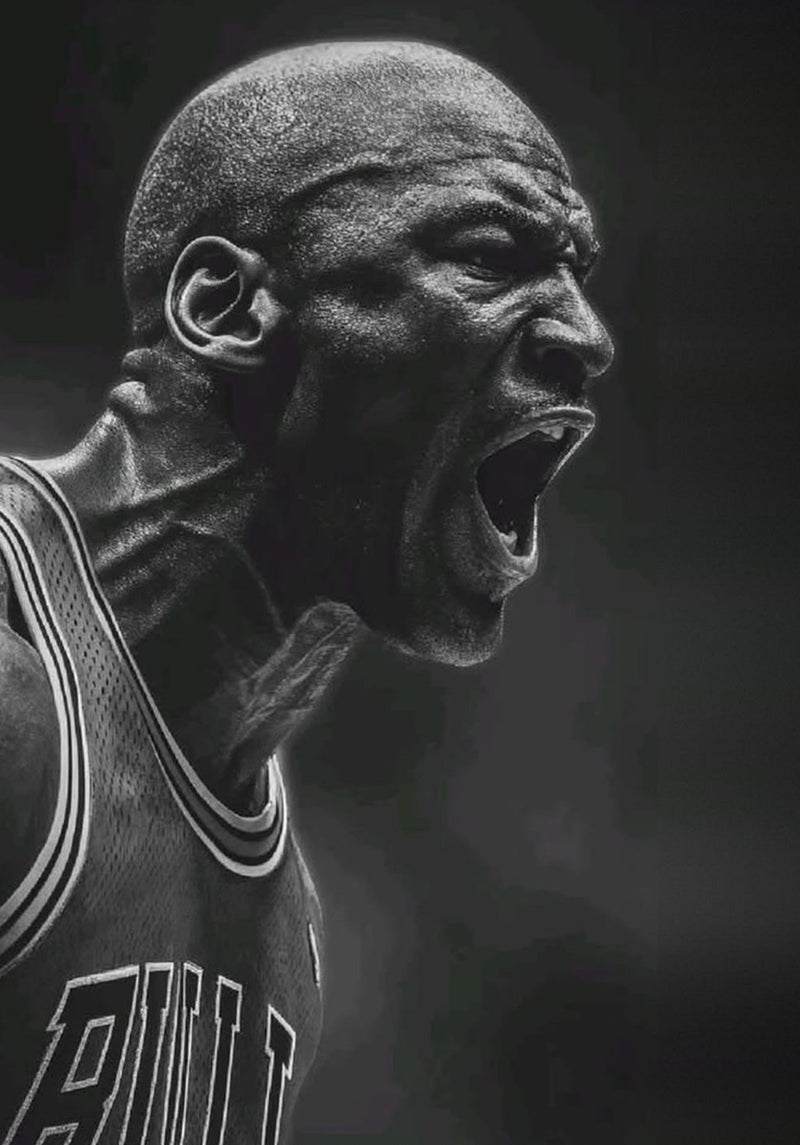 Michael Jordan Chicago Bulls