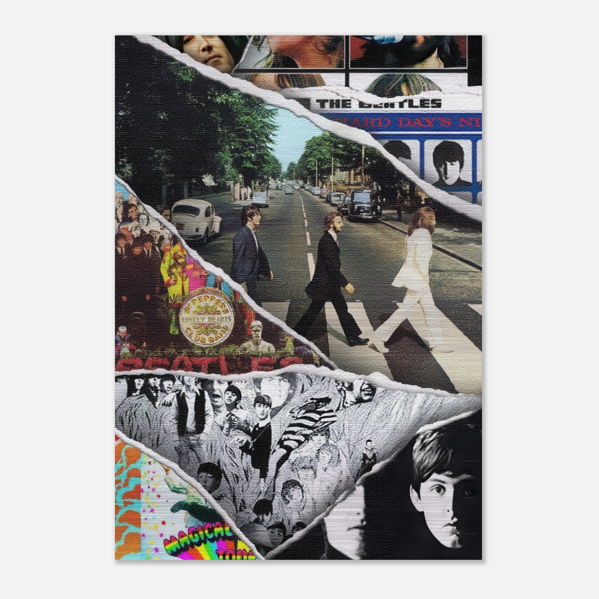 b601ed8f-0fb7-4774-b7de-349fb32d0220