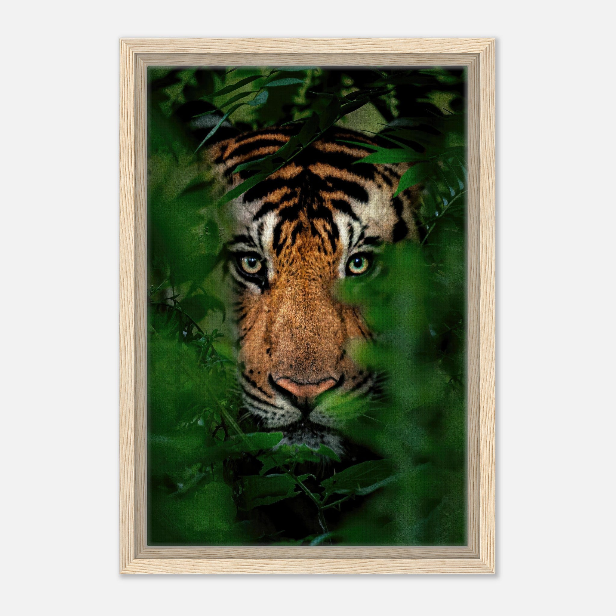 Stunning framed canvas print of a tiger peering through dense jungle foliage, showcasing vivid detail and intense gaze.