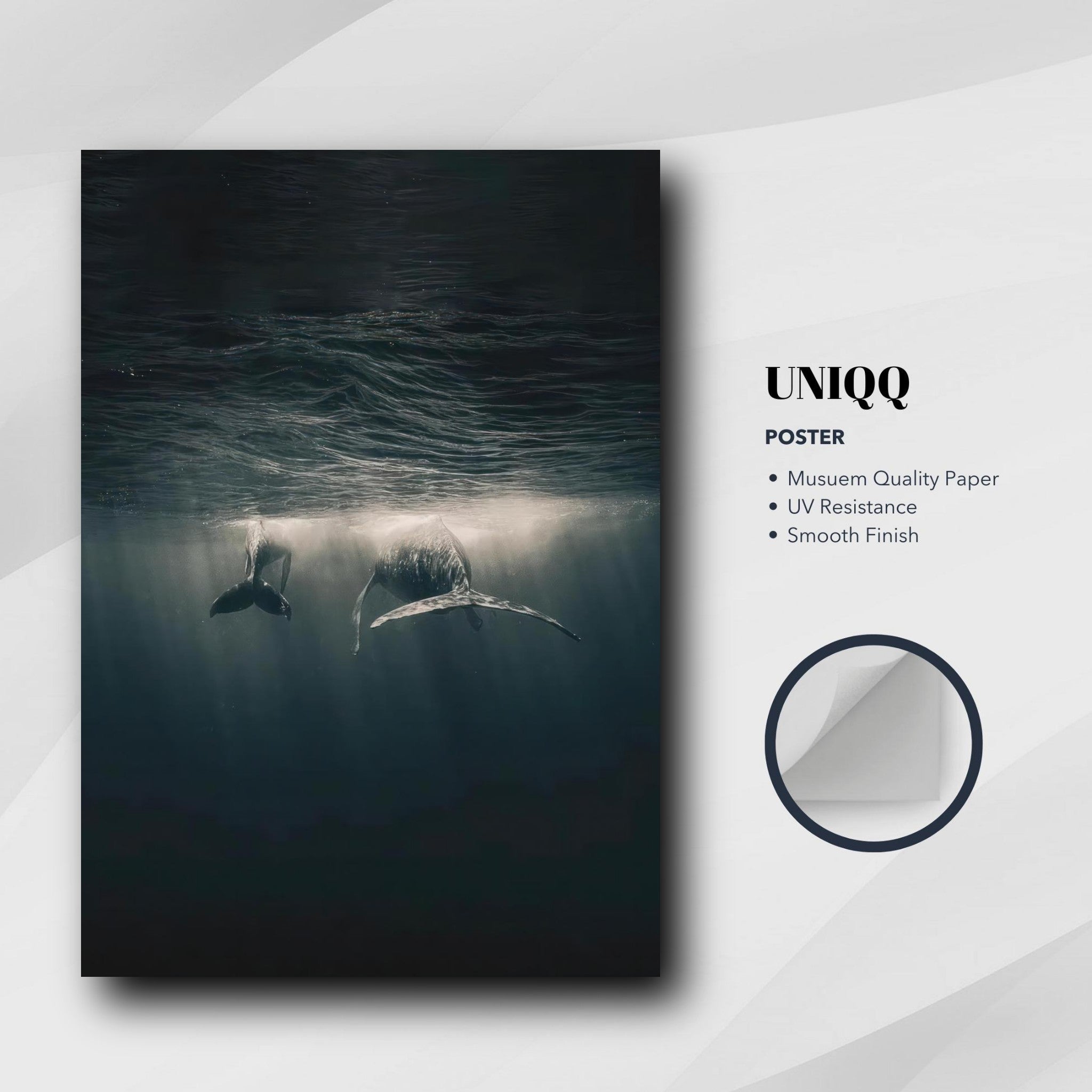 Whales swimming underwater in a serene ocean scene, poster showcasing marine beauty and tranquility.