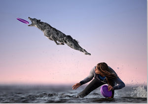 Frisbee per cani