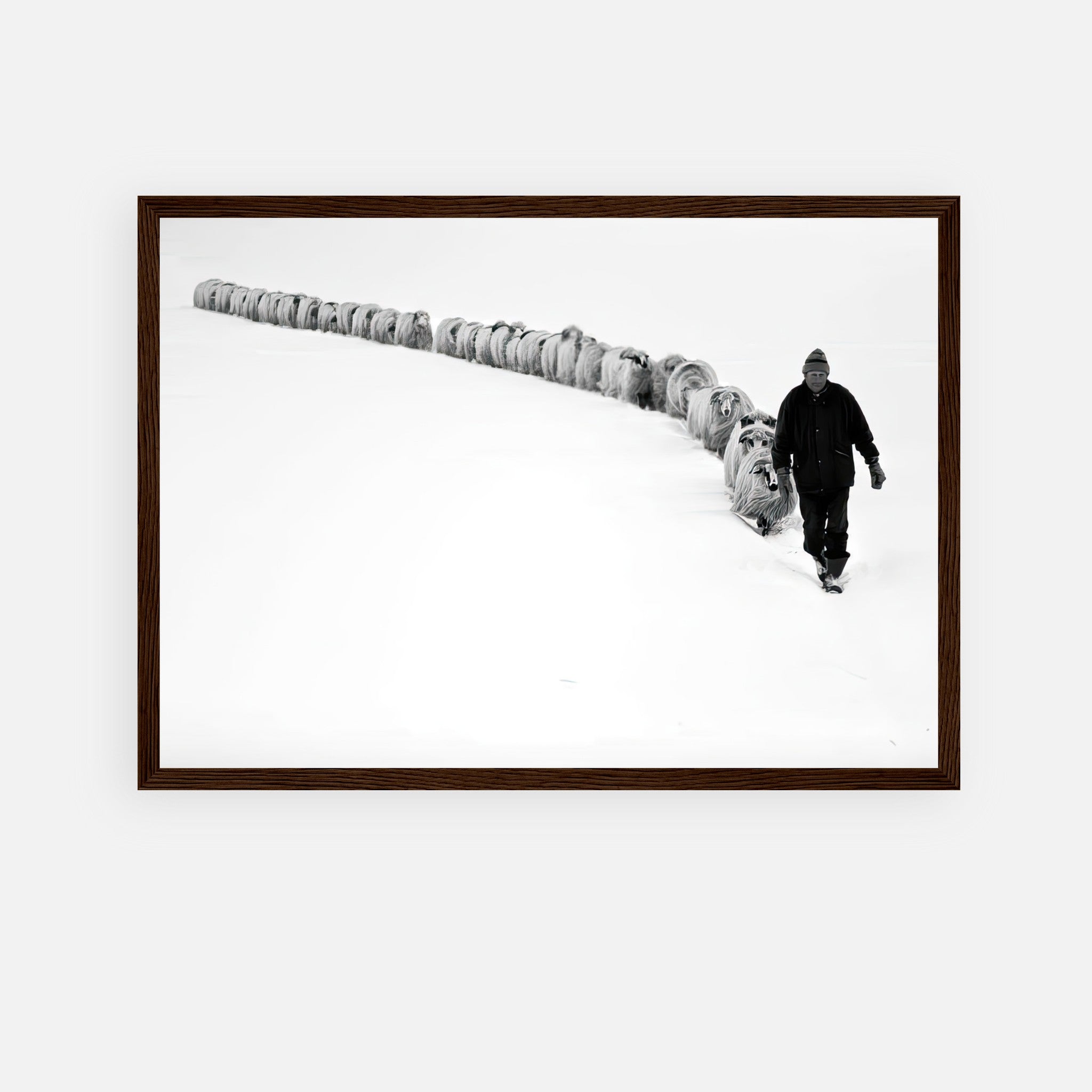 Framed print of a shepherd leading a flock through a snowy landscape, symbolizing resilience and guidance.