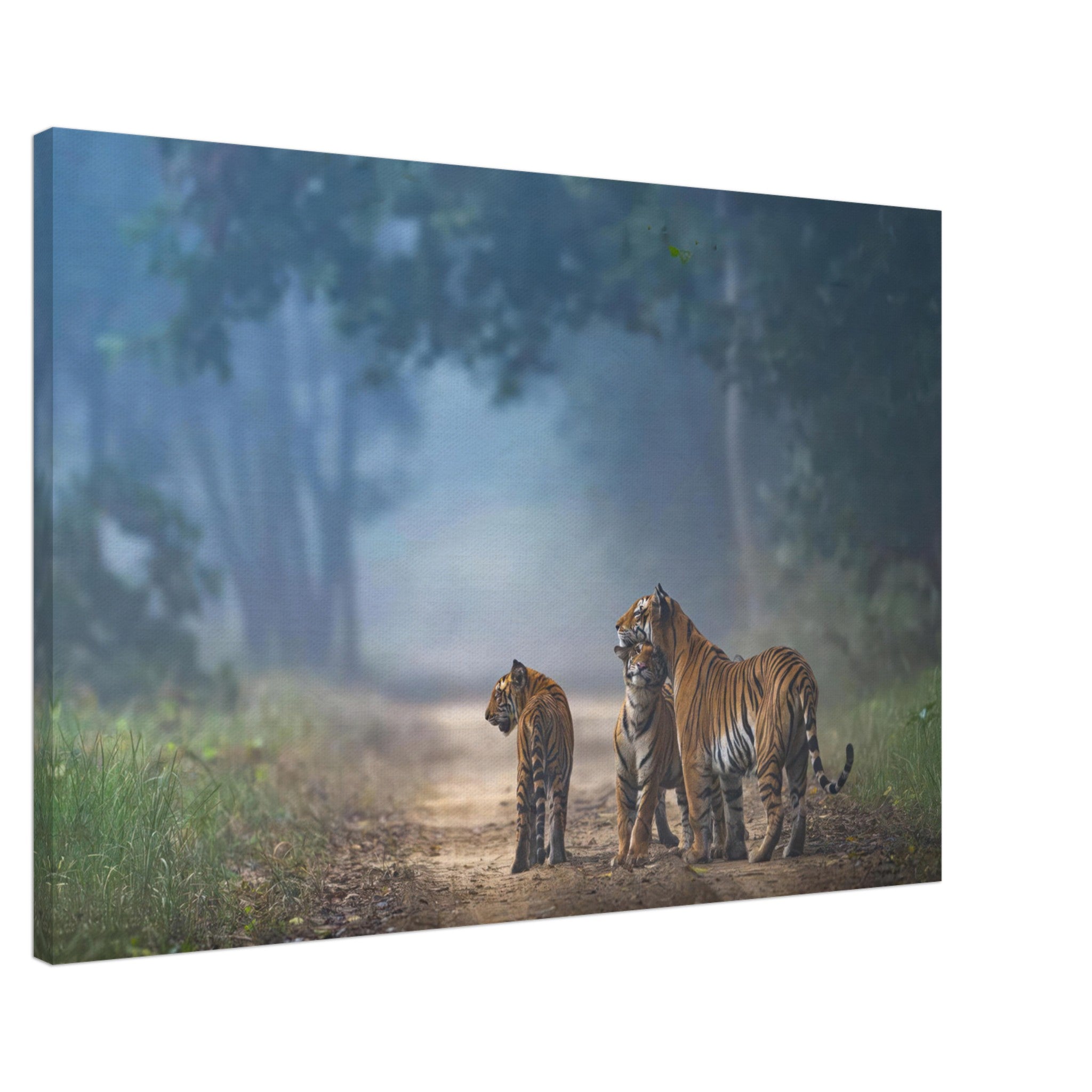 Majestic tiger family walking through a misty forest on The Bond of Tigers Canvas art.
