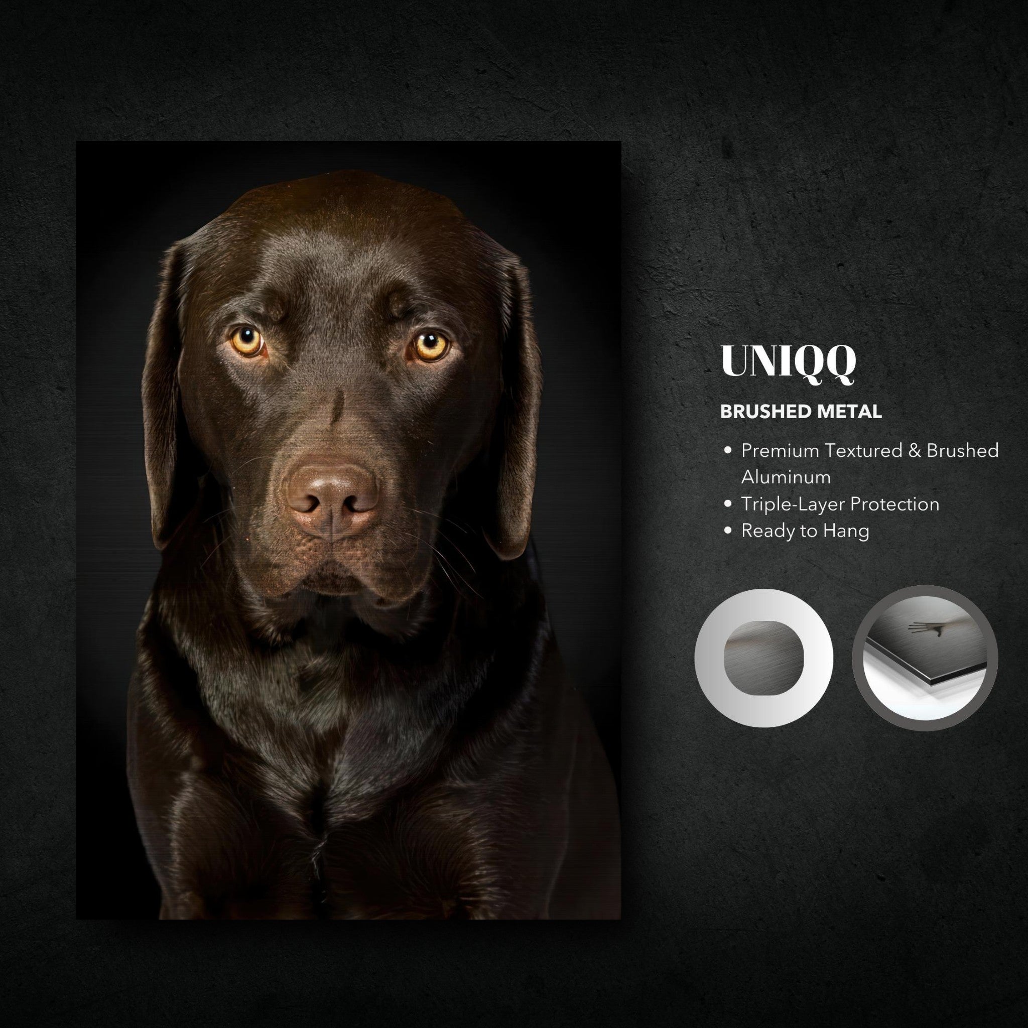 Chocolate Labrador portrait on brushed metal, showcasing soulful gaze and rich chocolate tones, ready to hang.