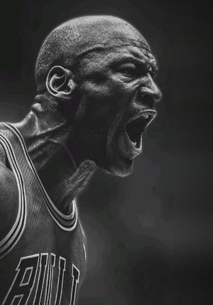 Michael Jordan Chicago Bulls