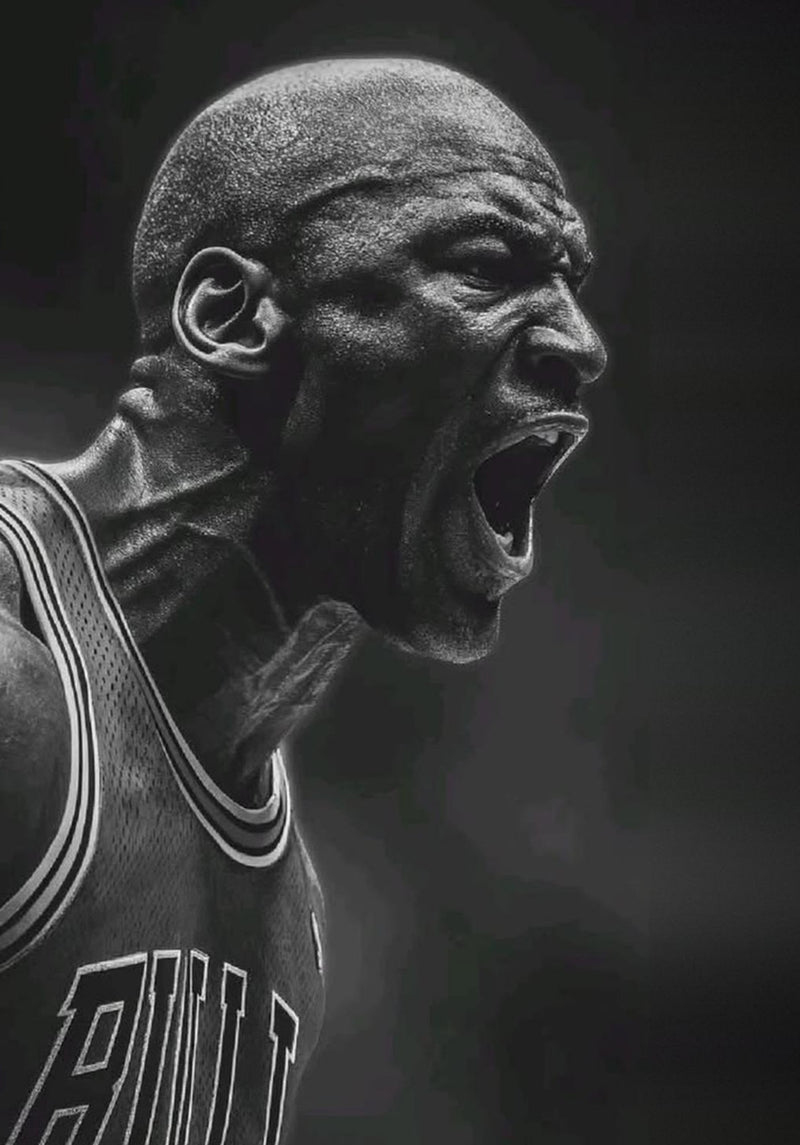 Michael Jordan Chicago Bulls