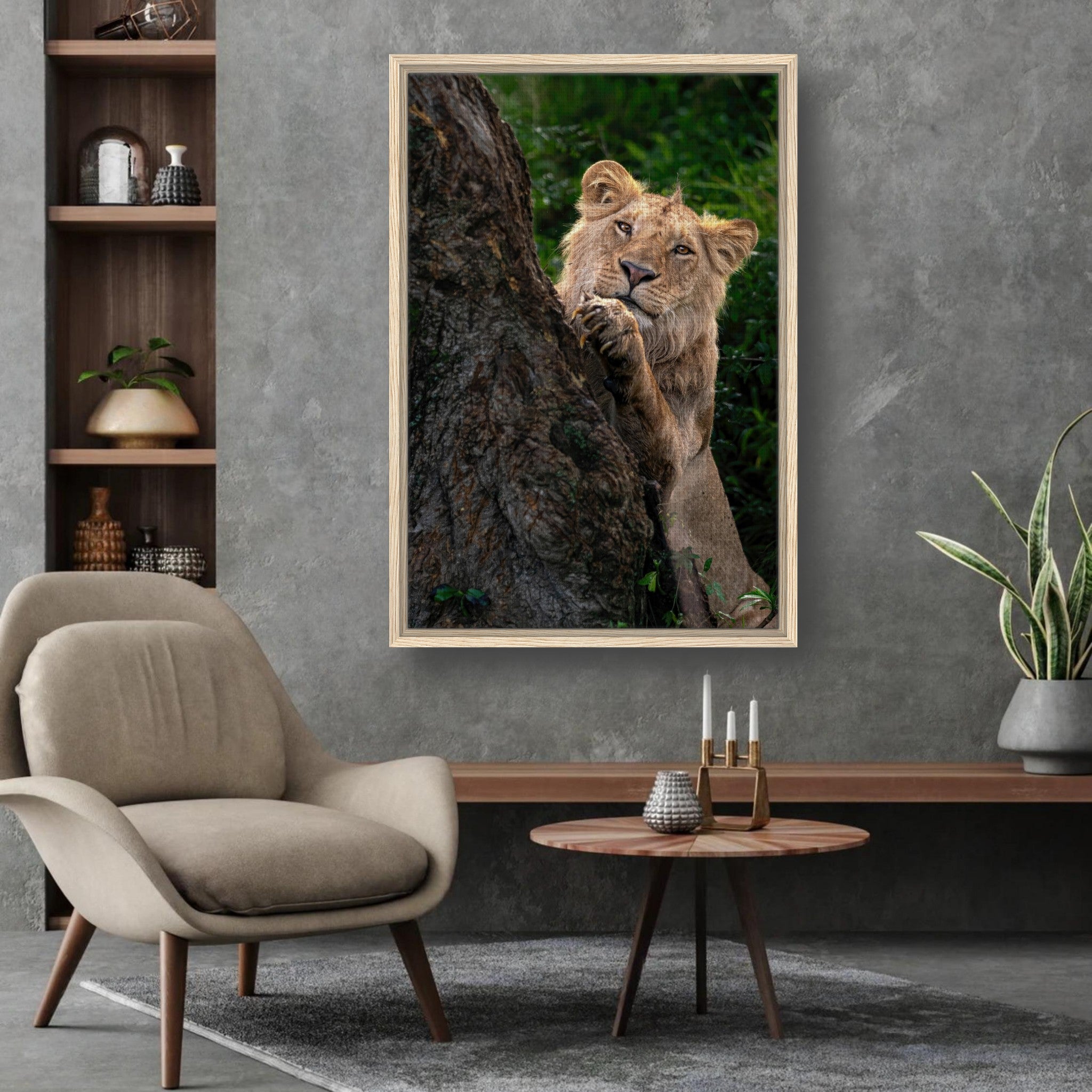 Playful lion framed canvas print showcasing a young lion peeking from behind a tree, adding warmth to any space.