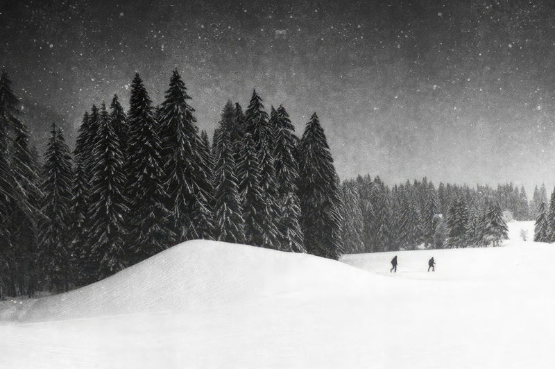 Winter Crossing