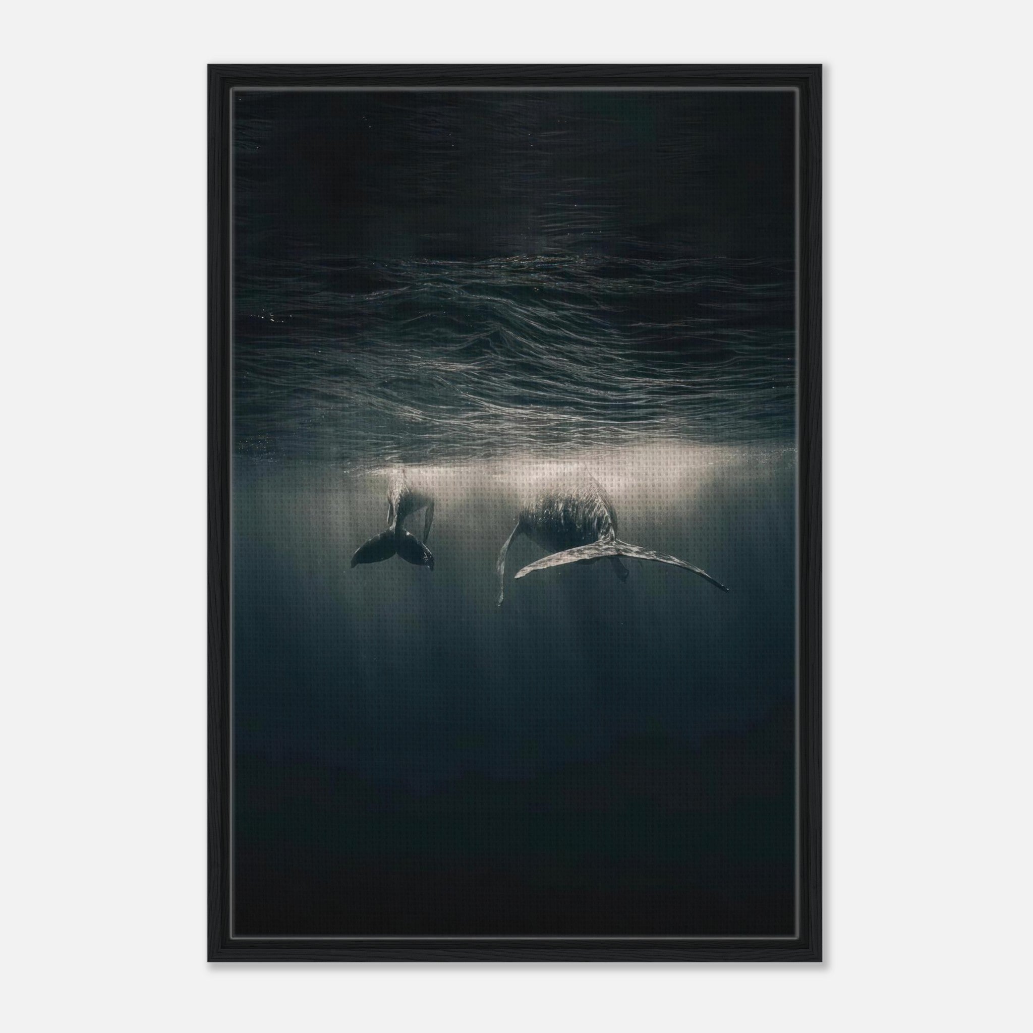 Framed canvas print of two whales swimming underwater, illuminated by sunlight through ocean waves.
